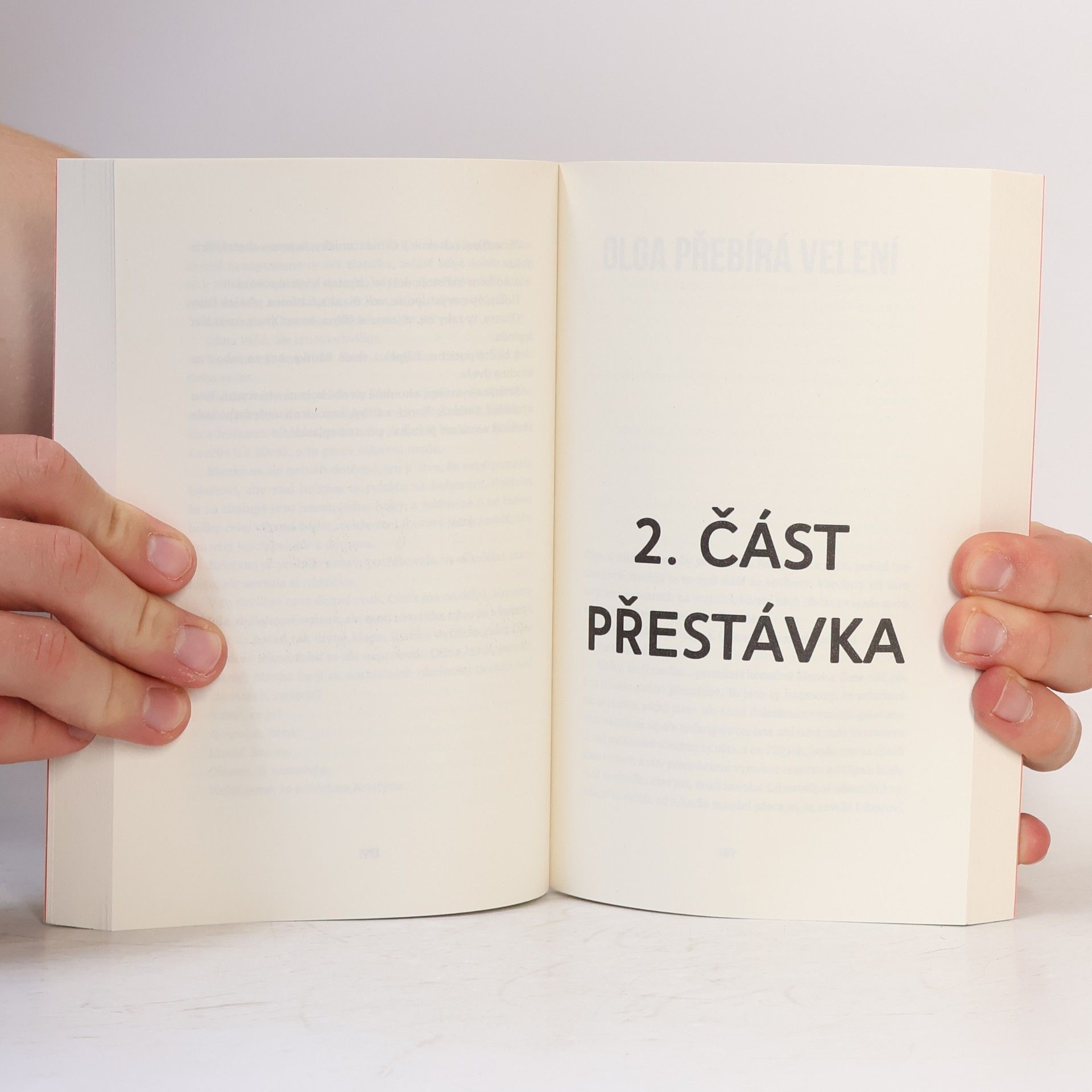 Petra Soukupová Pod sněhem