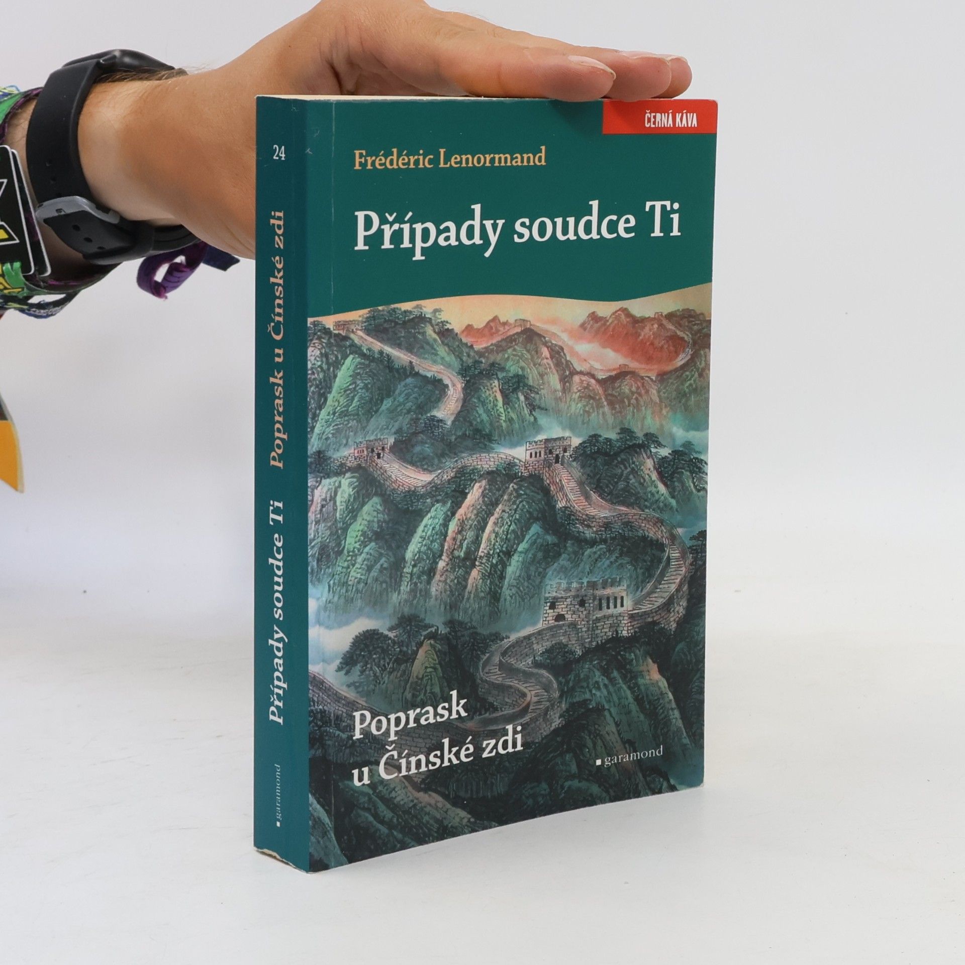 Vlasta Misařová Poprask u Čínské zdi. Případy soudce Ti.