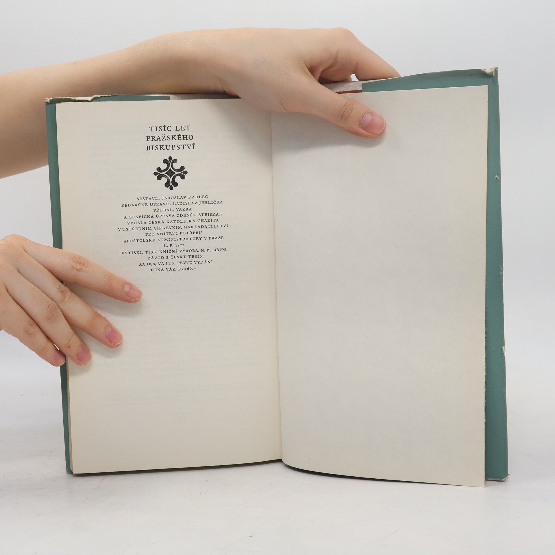 Autorenkollektiv Tisíc let pražského biskupství