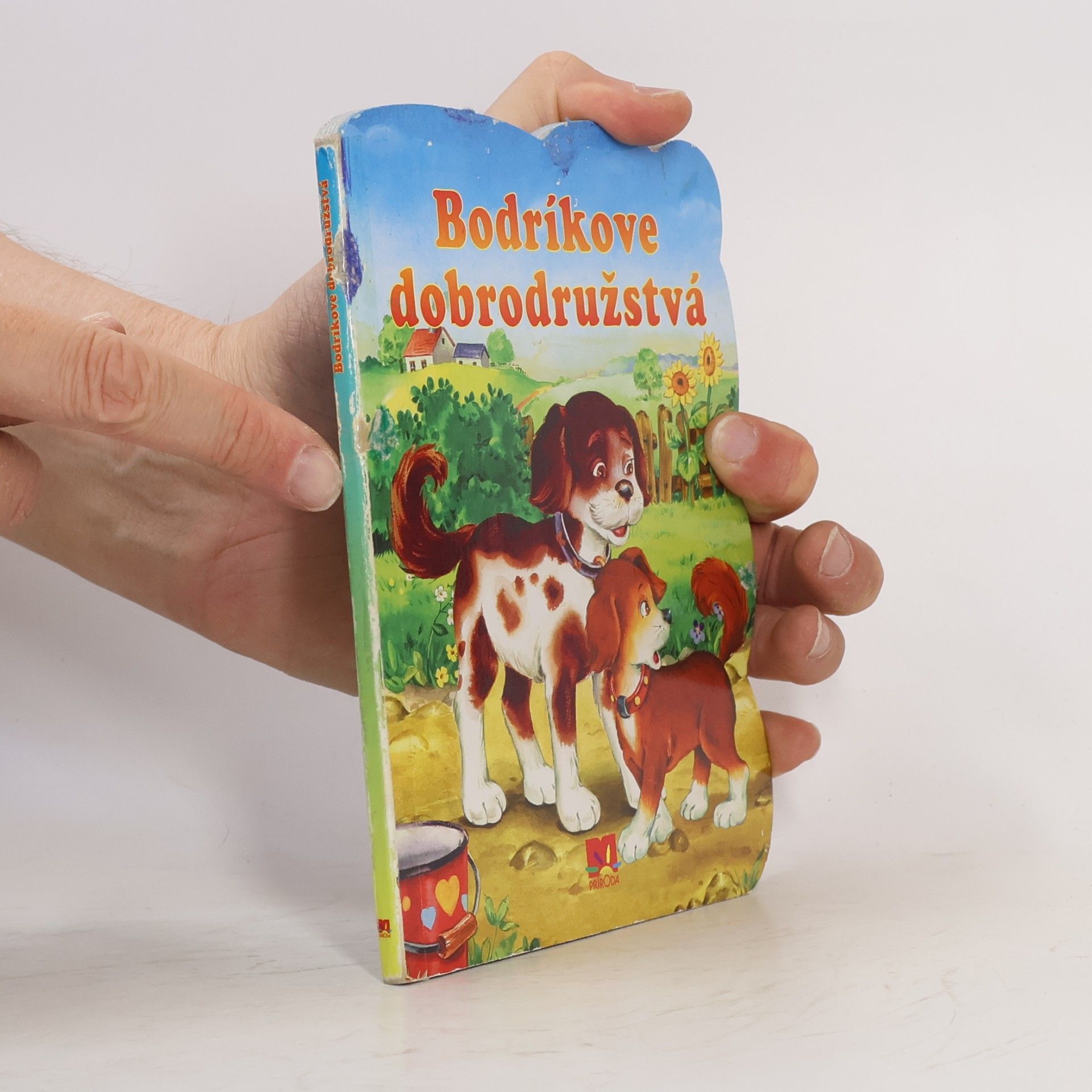 Táňa Pastorková Bodríkove dobrodružstvá