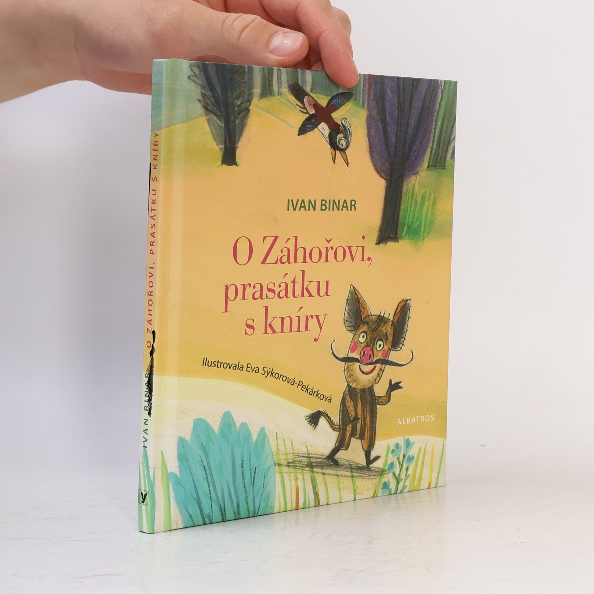 O Záhořovi, prasátku s kníry