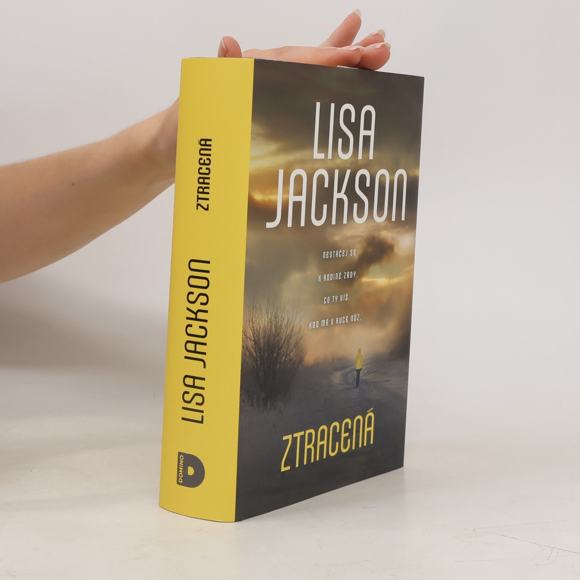 Lisa Jackson Ztracená