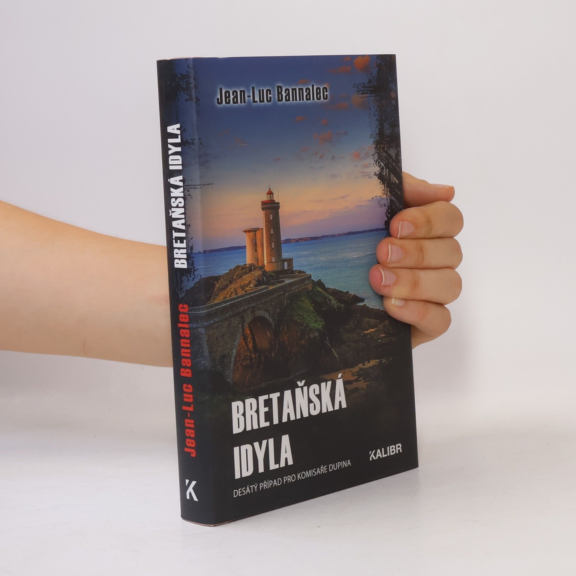 Jörg Bong Bretaňská idyla : desátý případ pro komisaře Dupina