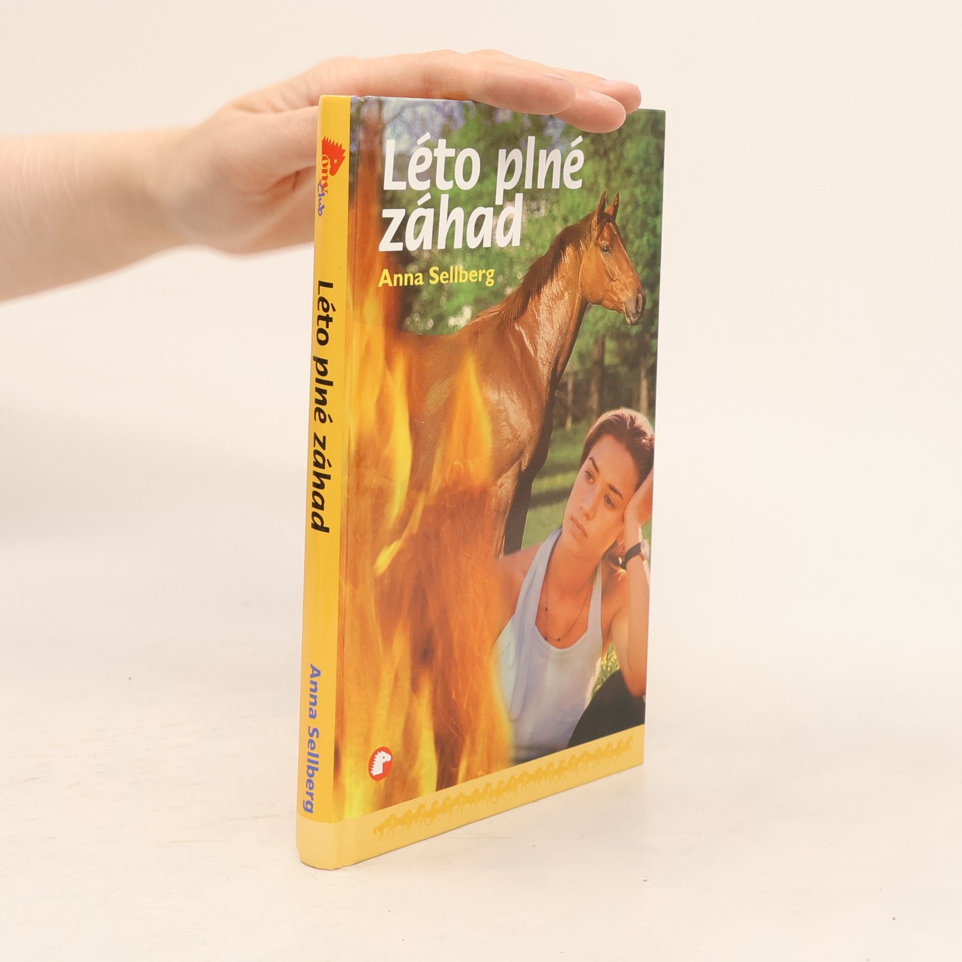 Anna Sellberg Léto plné záhad