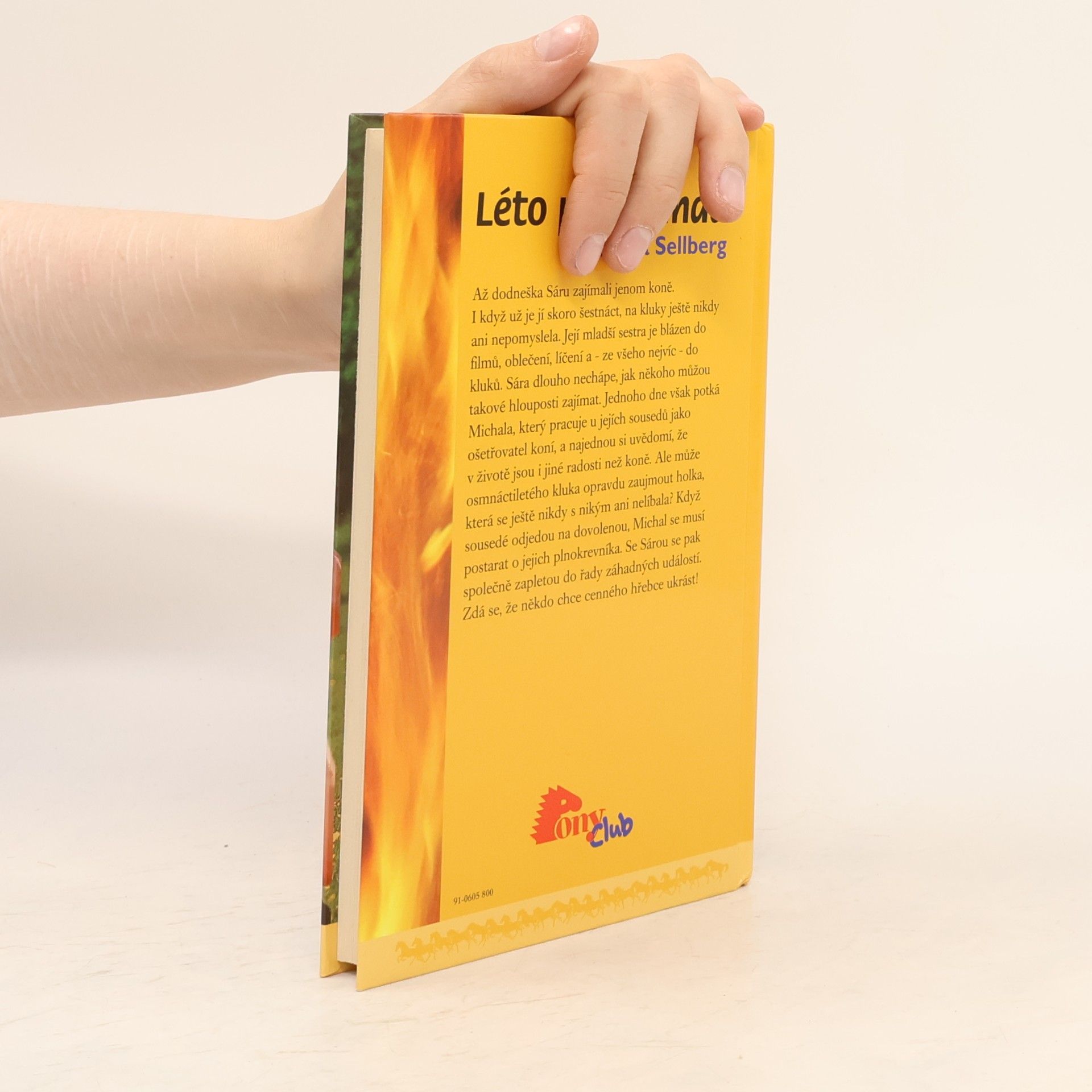 Anna Sellberg Léto plné záhad