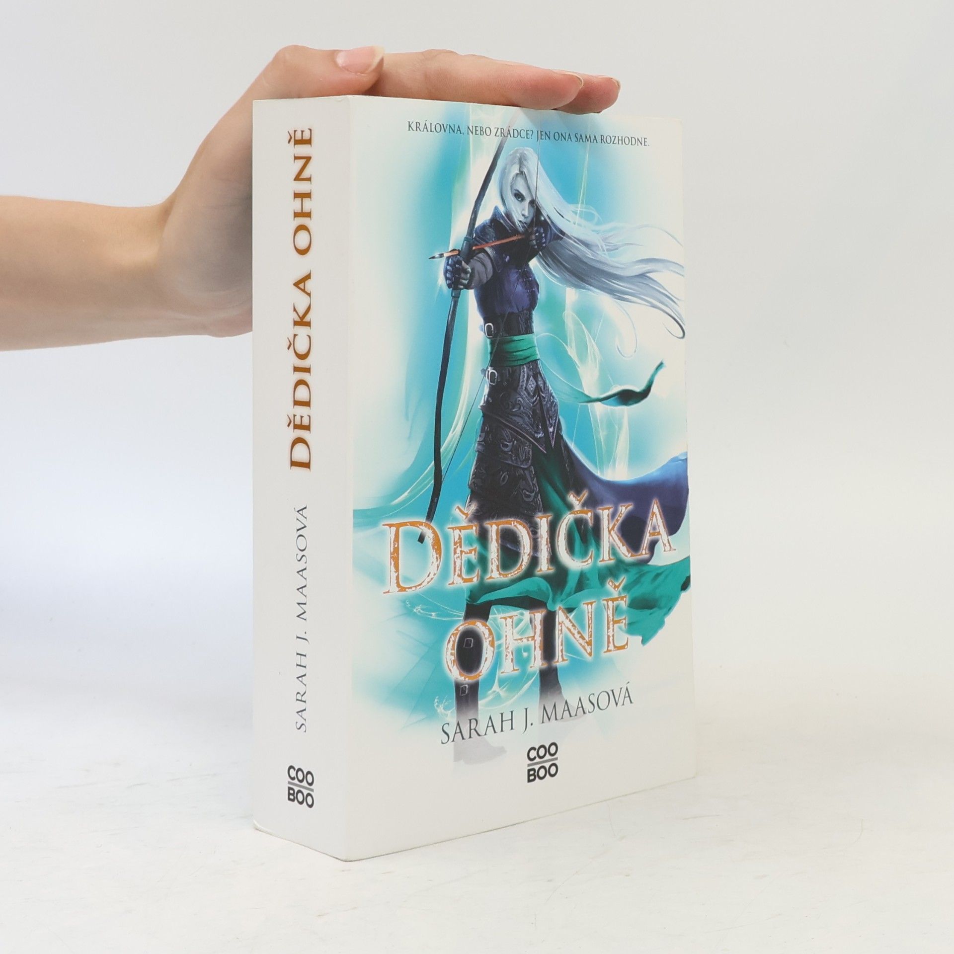 Sarah J. Maas Dědička ohně