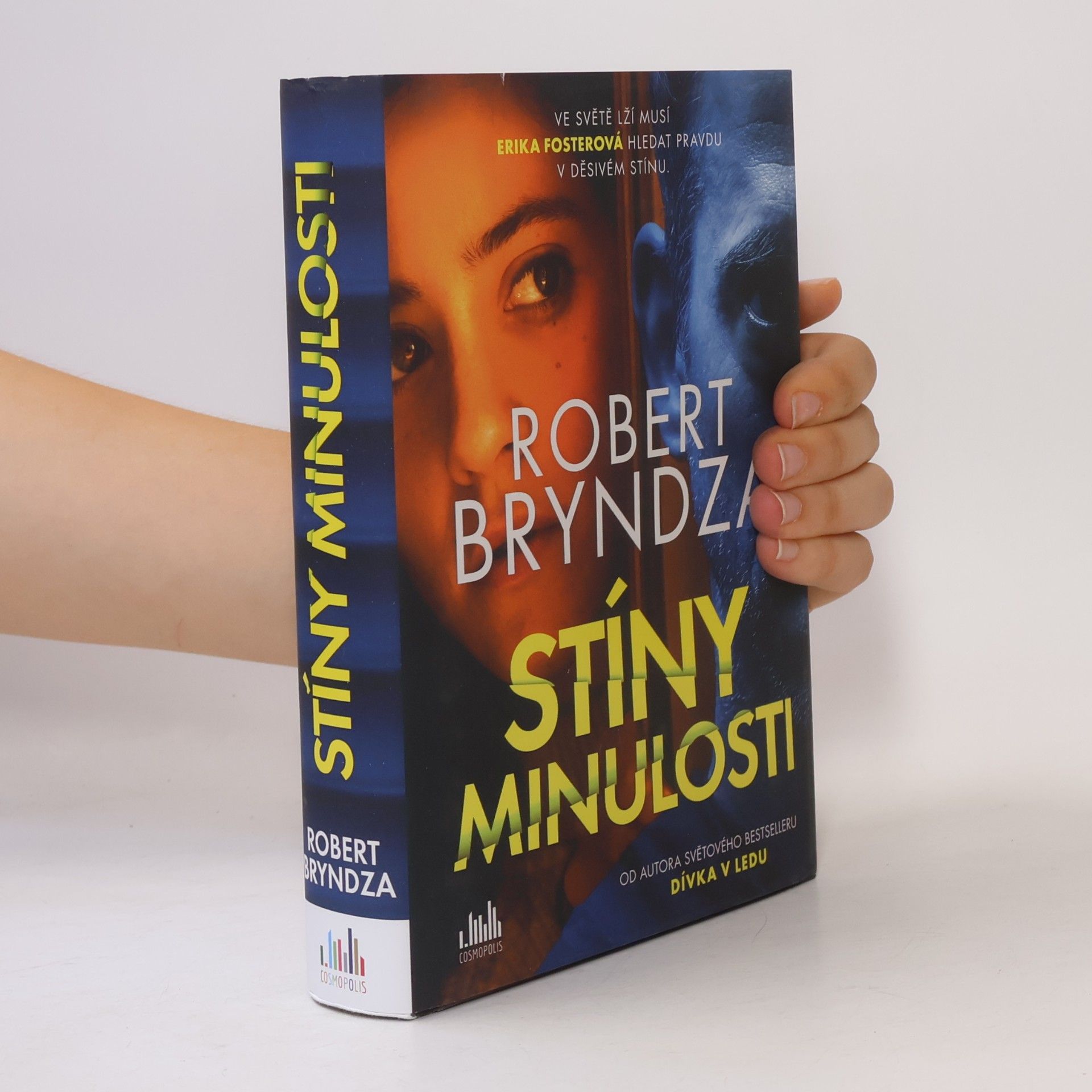 Robert Bryndza Stíny minulosti