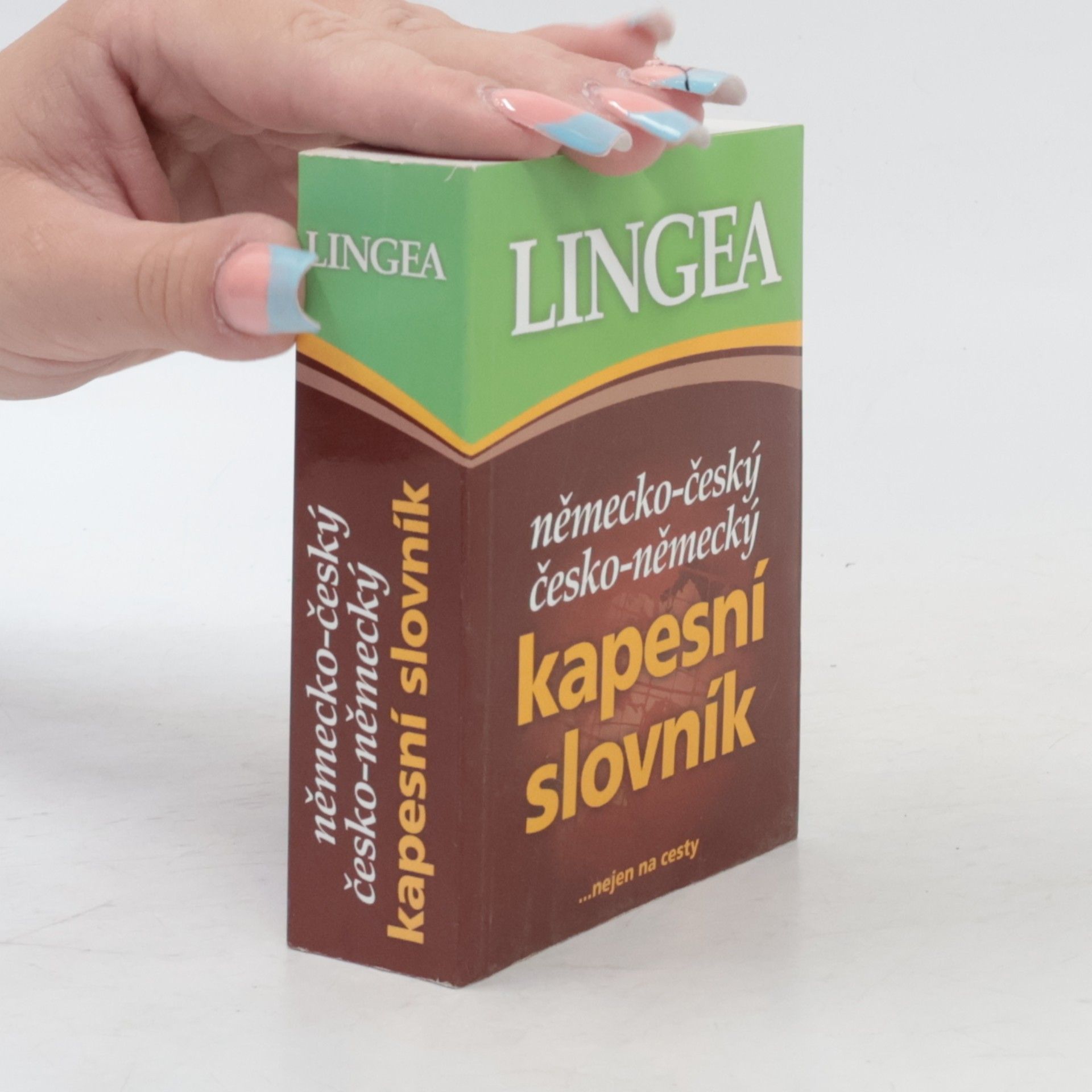 Autorenkollektiv Německo-český, česko-německý kapesní slovník