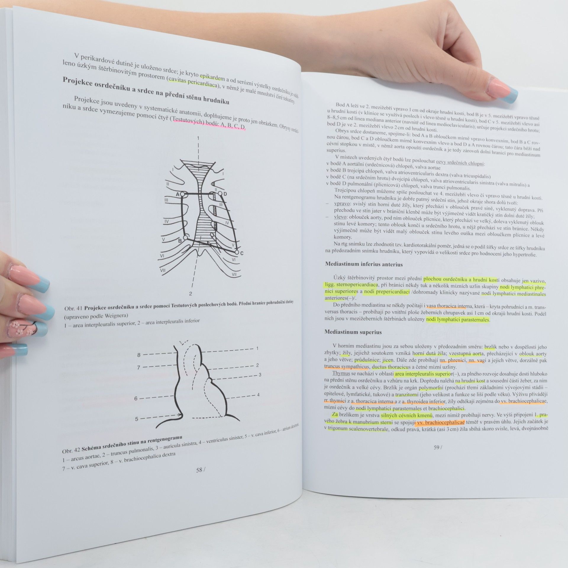 Jaroslav Kos Přehled topografické anatomie