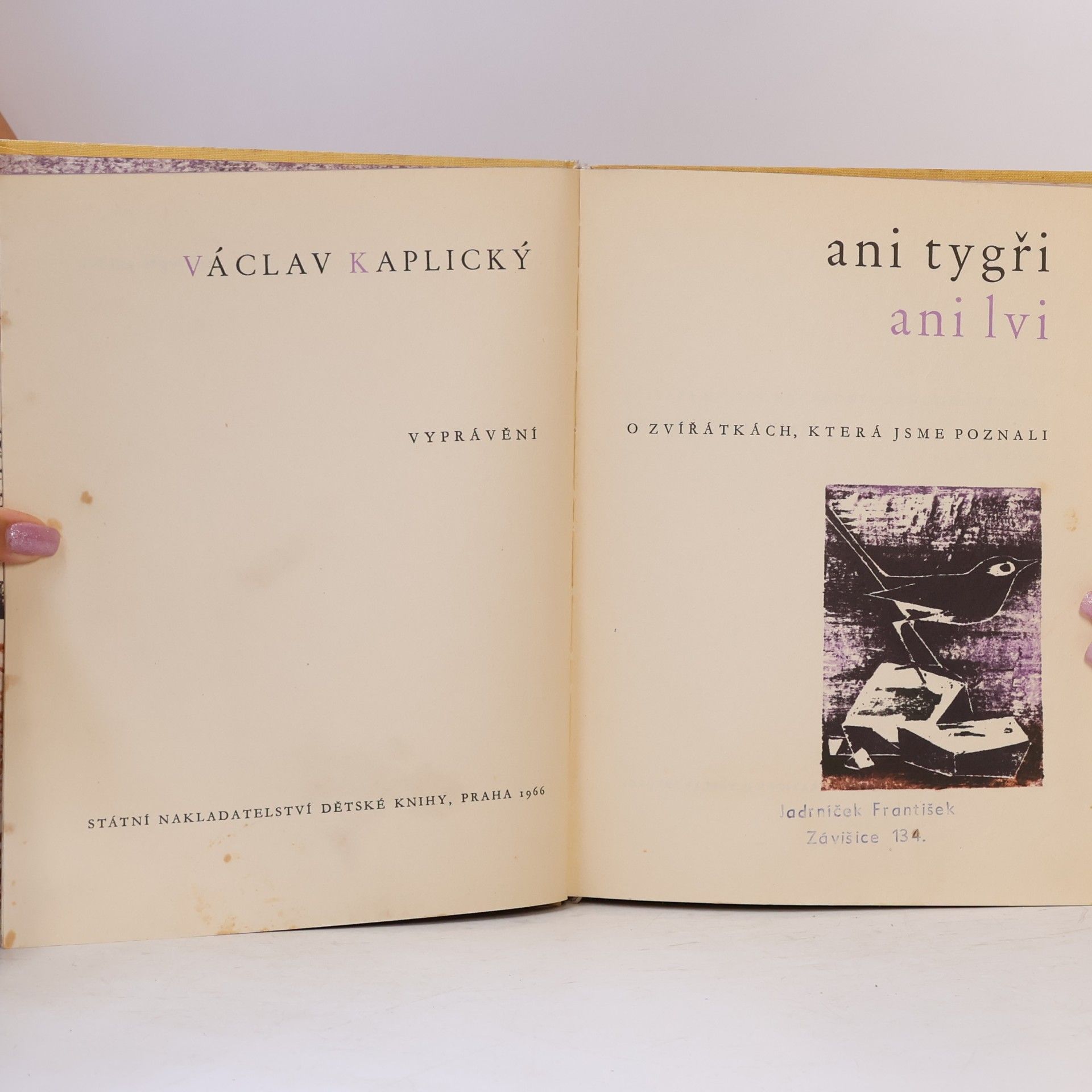 Václav Kaplický Ani tygři ani lvi