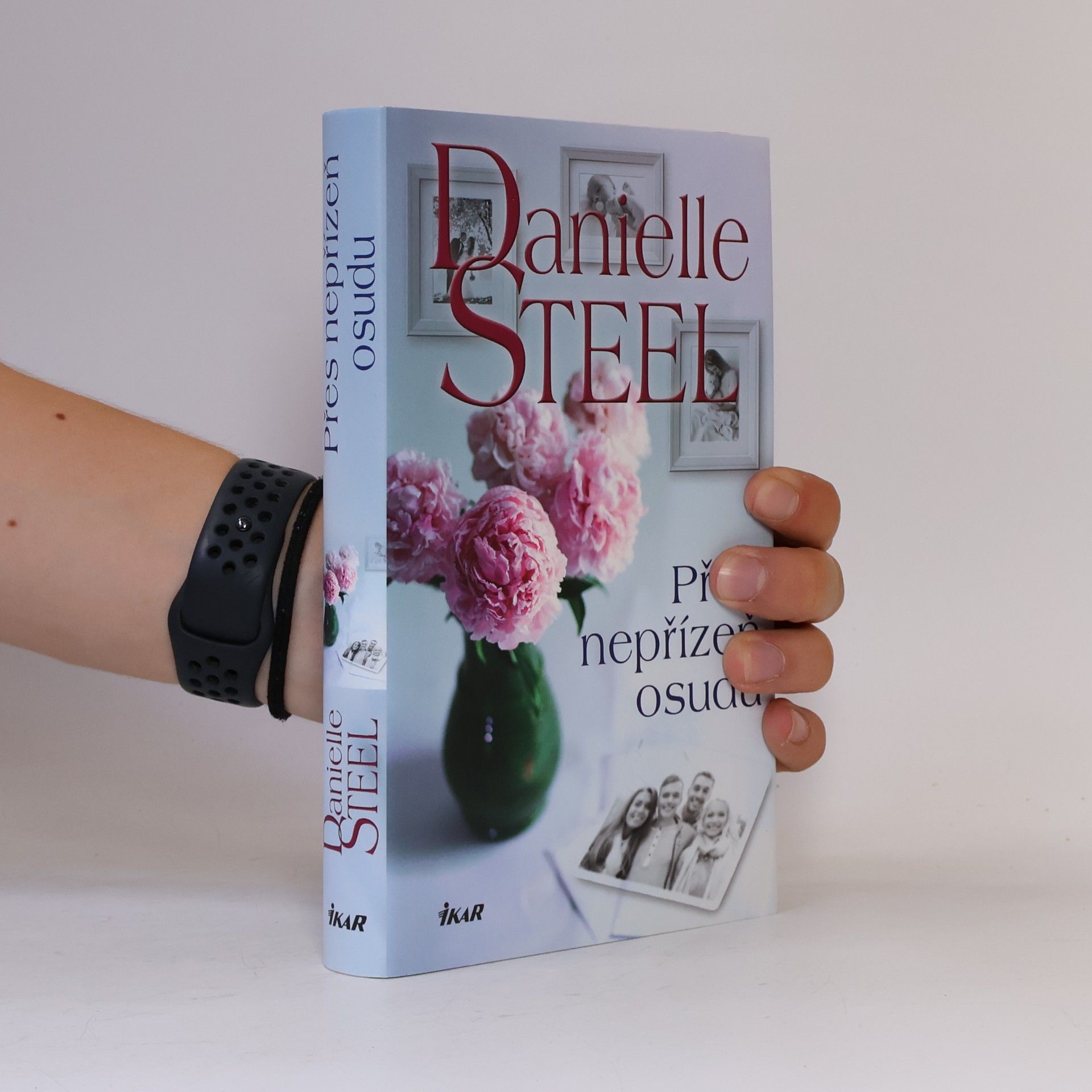 Danielle Steel Přes nepřízeň osudu