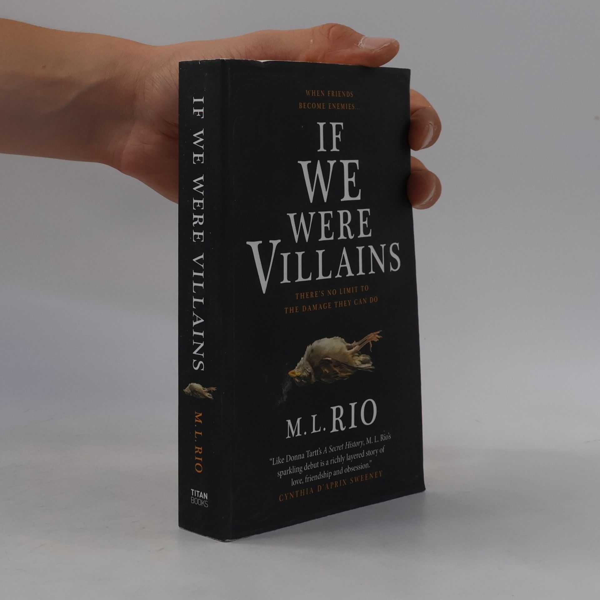 M. L. Rio If We Were Villains