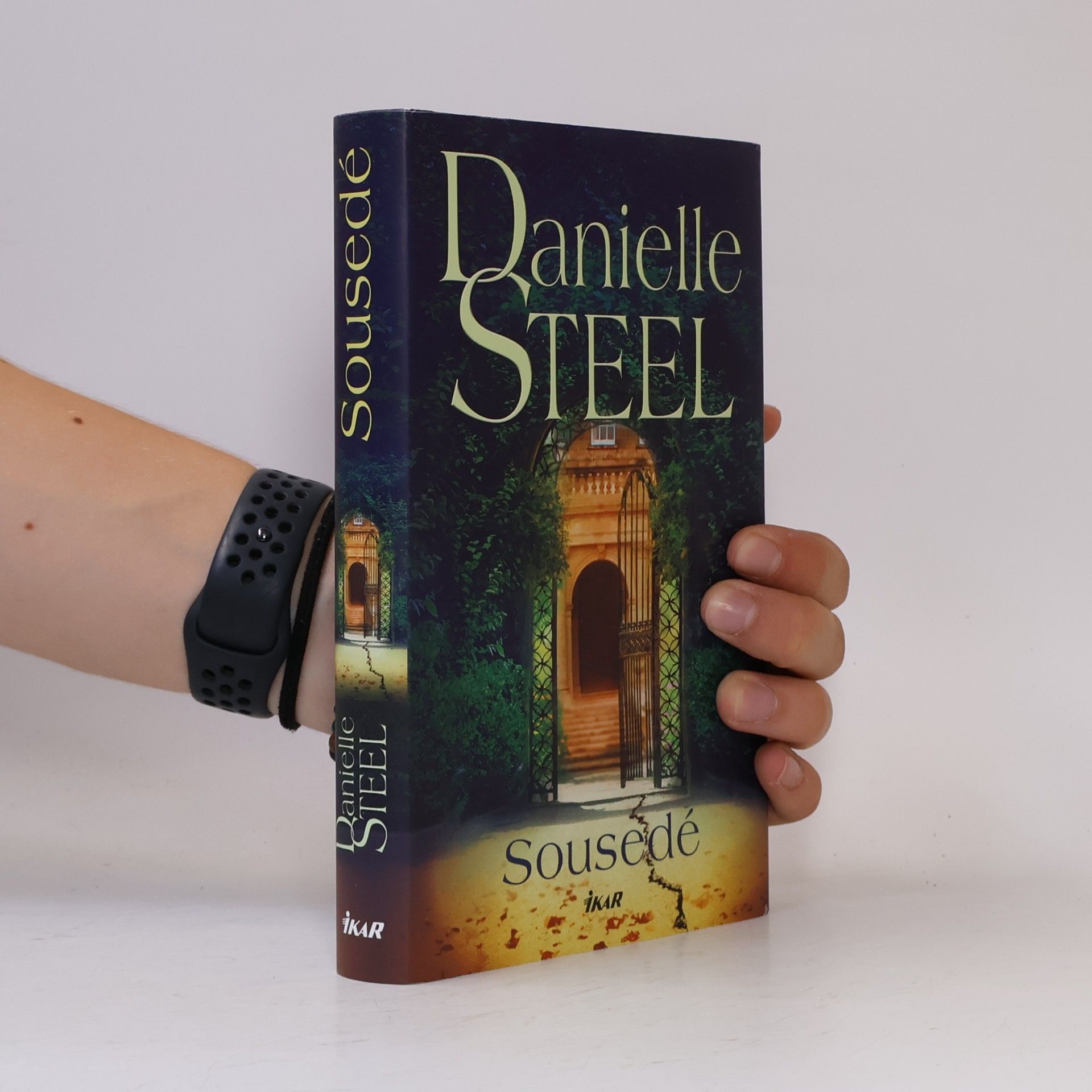 Danielle Steel Sousedé