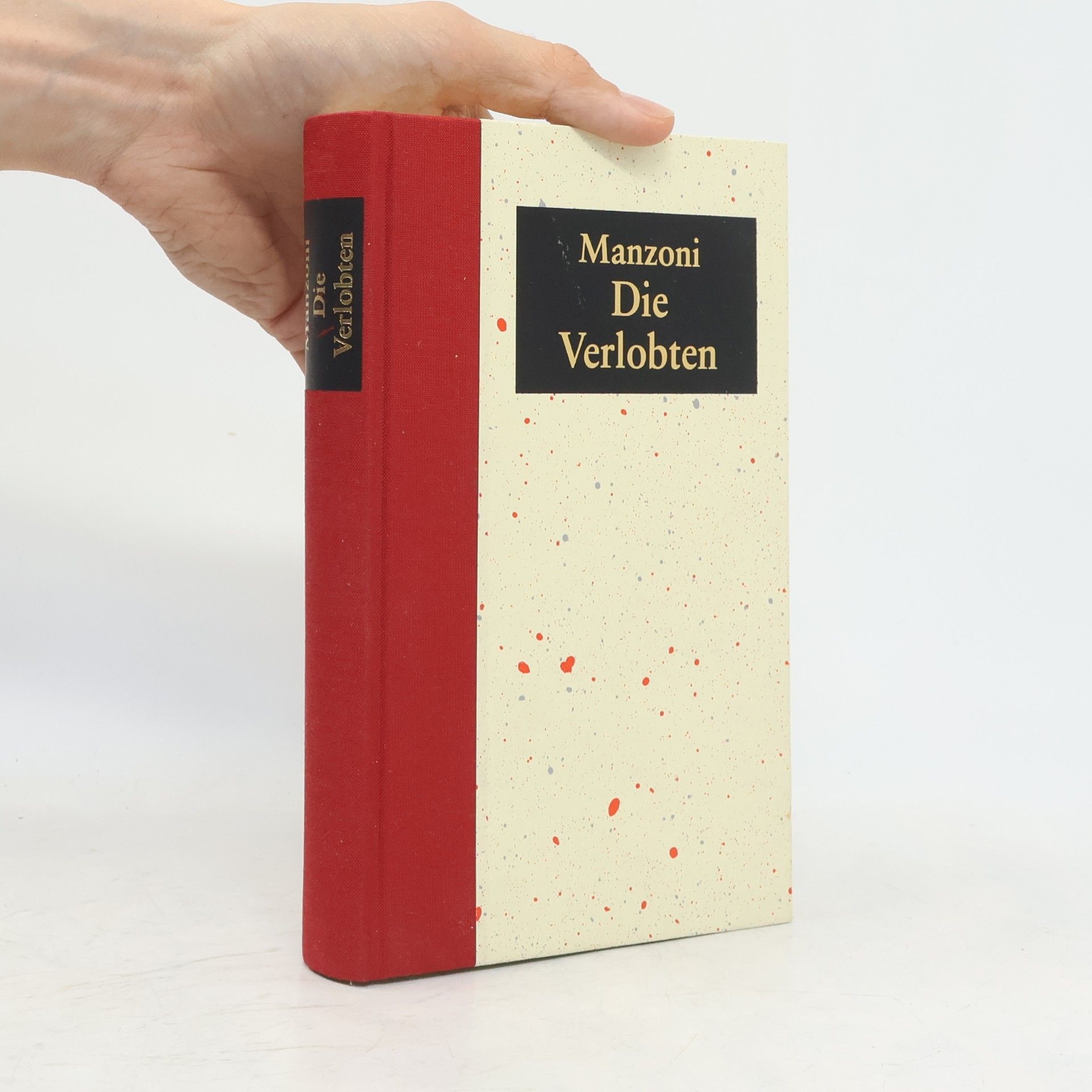 Alessandro Manzoni DIe Verlobten