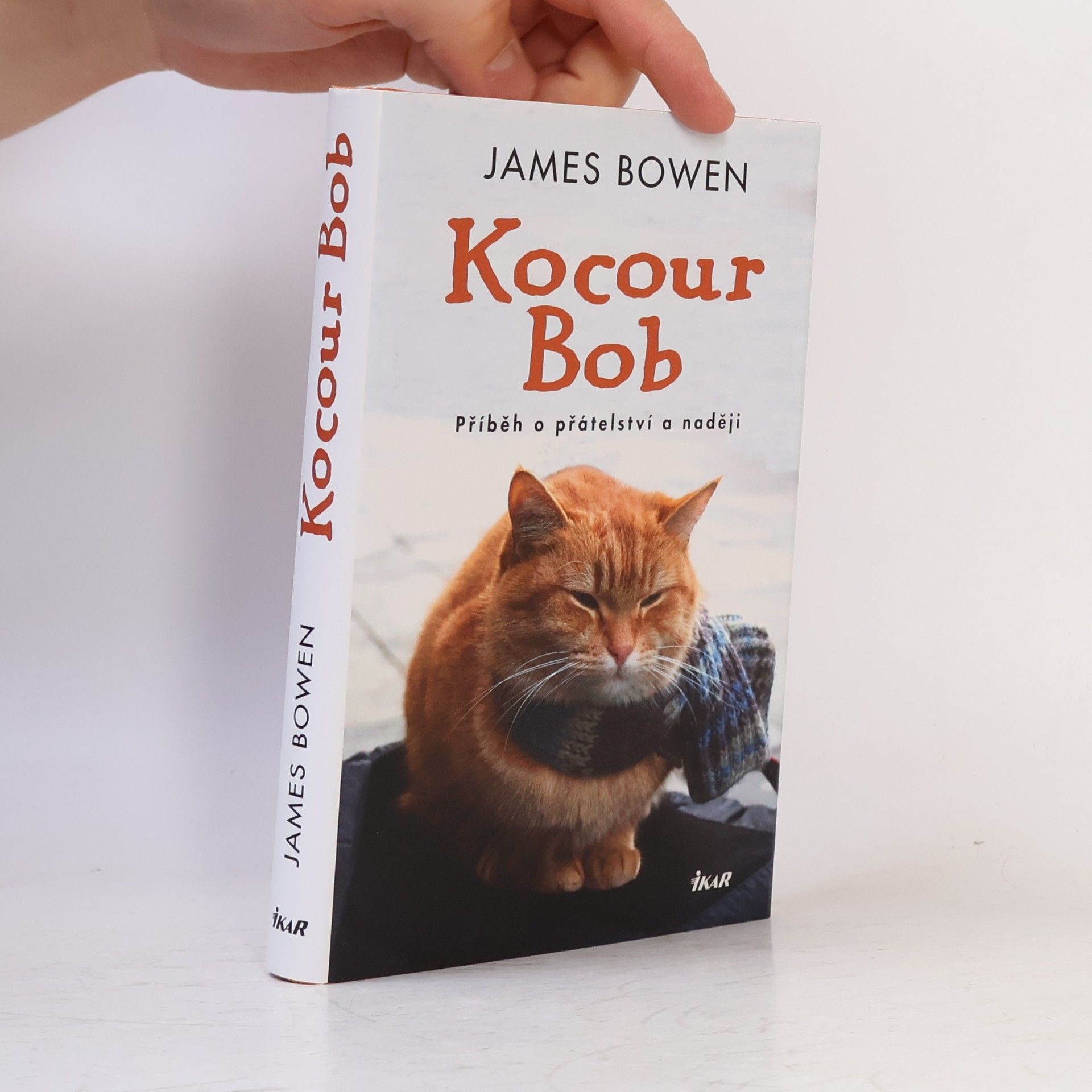 James Bowen Kocour Bob