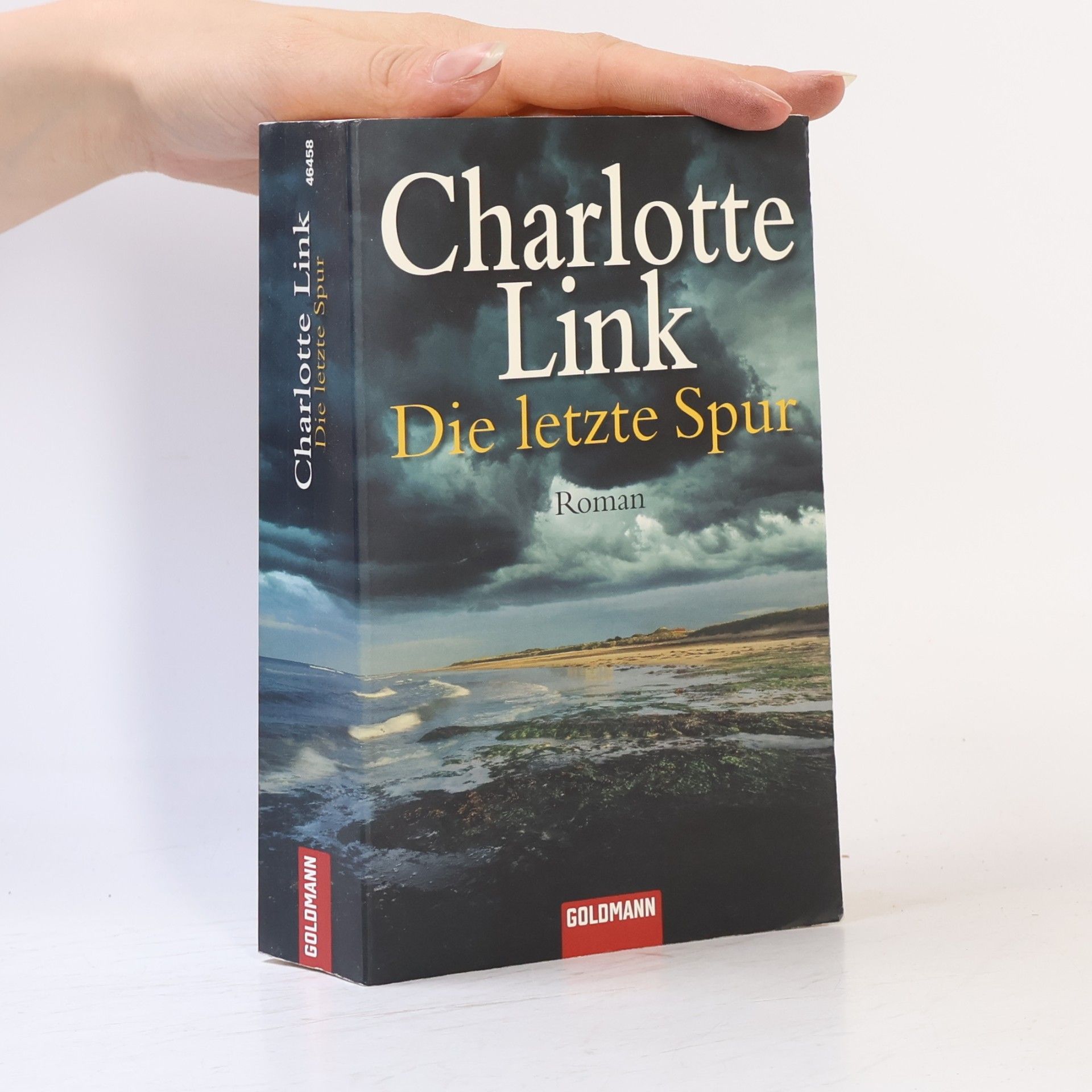 Charlotte Link Die letzte Spur