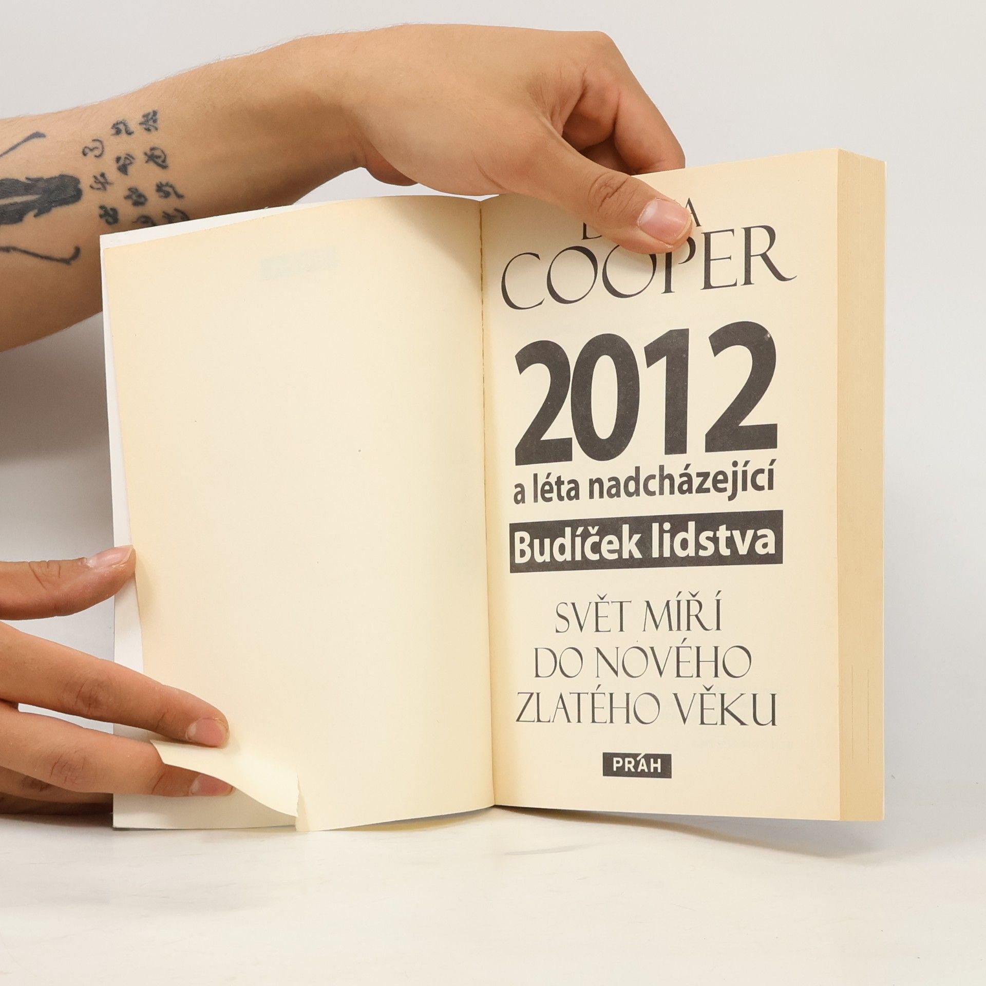 Diana Cooper 2012 a léta nadcházející : budíček lidstva