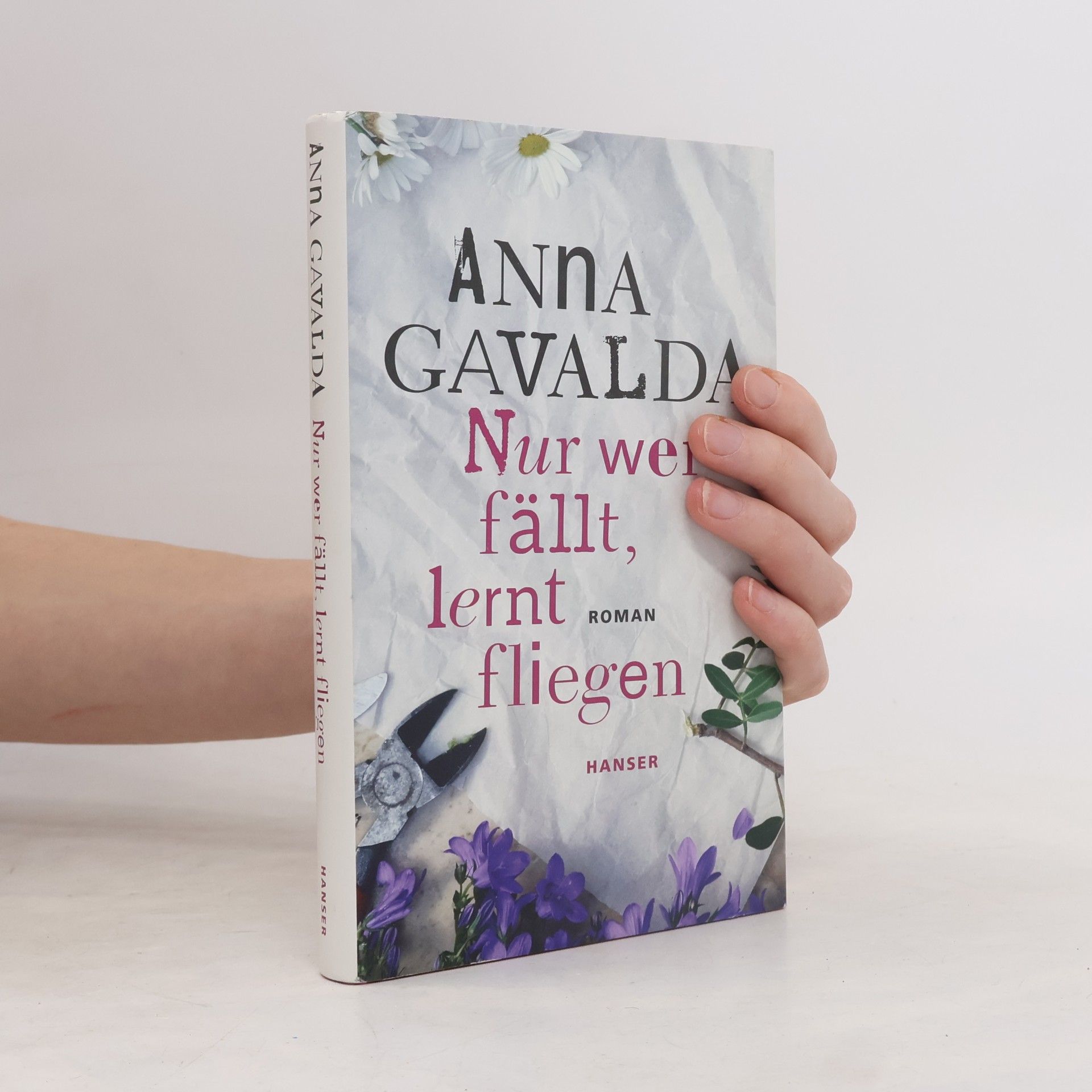 Anna Gavalda Nur wer fällt, lernt fliegen