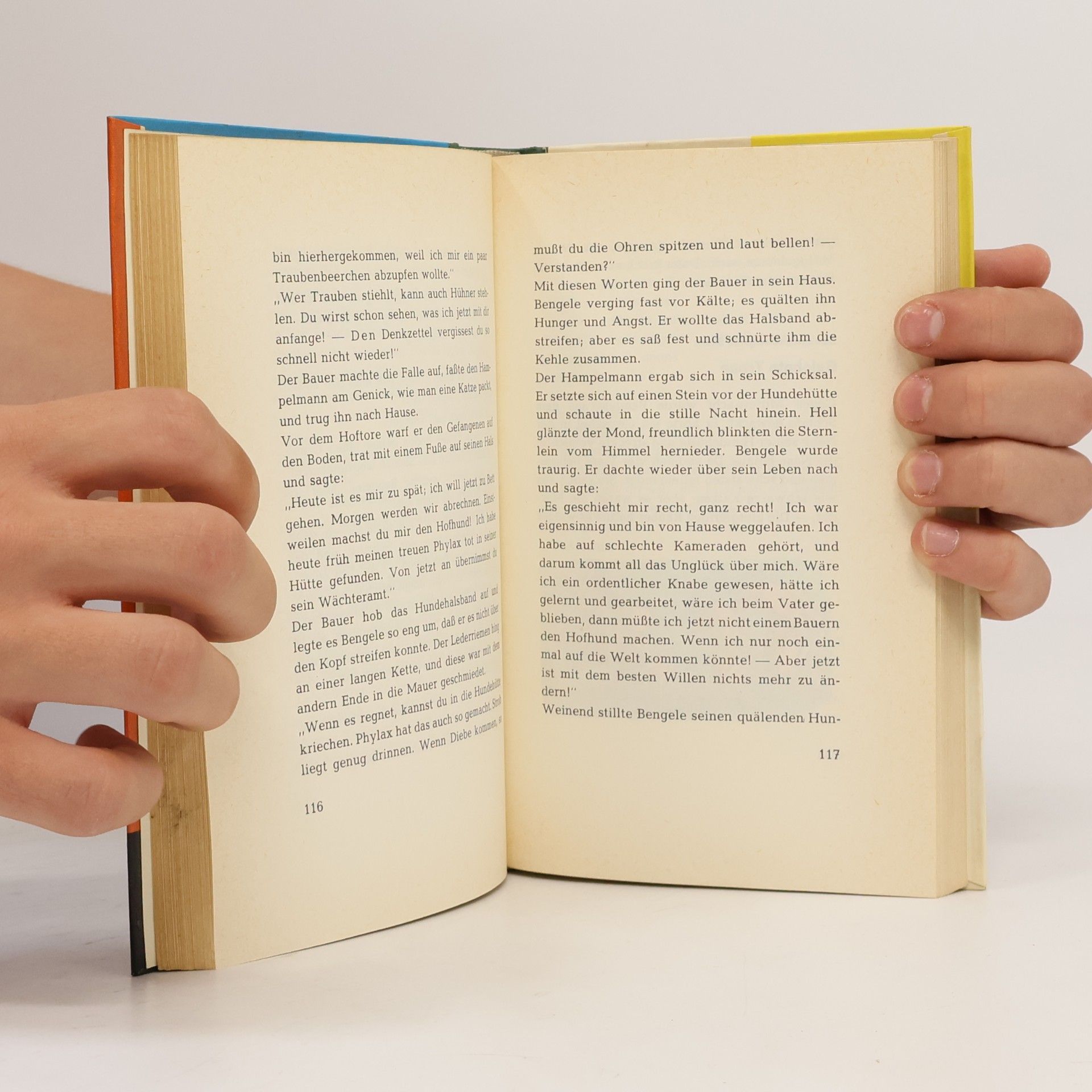 Carlo Collodi Die Geschichte vom hölzernen Bengele