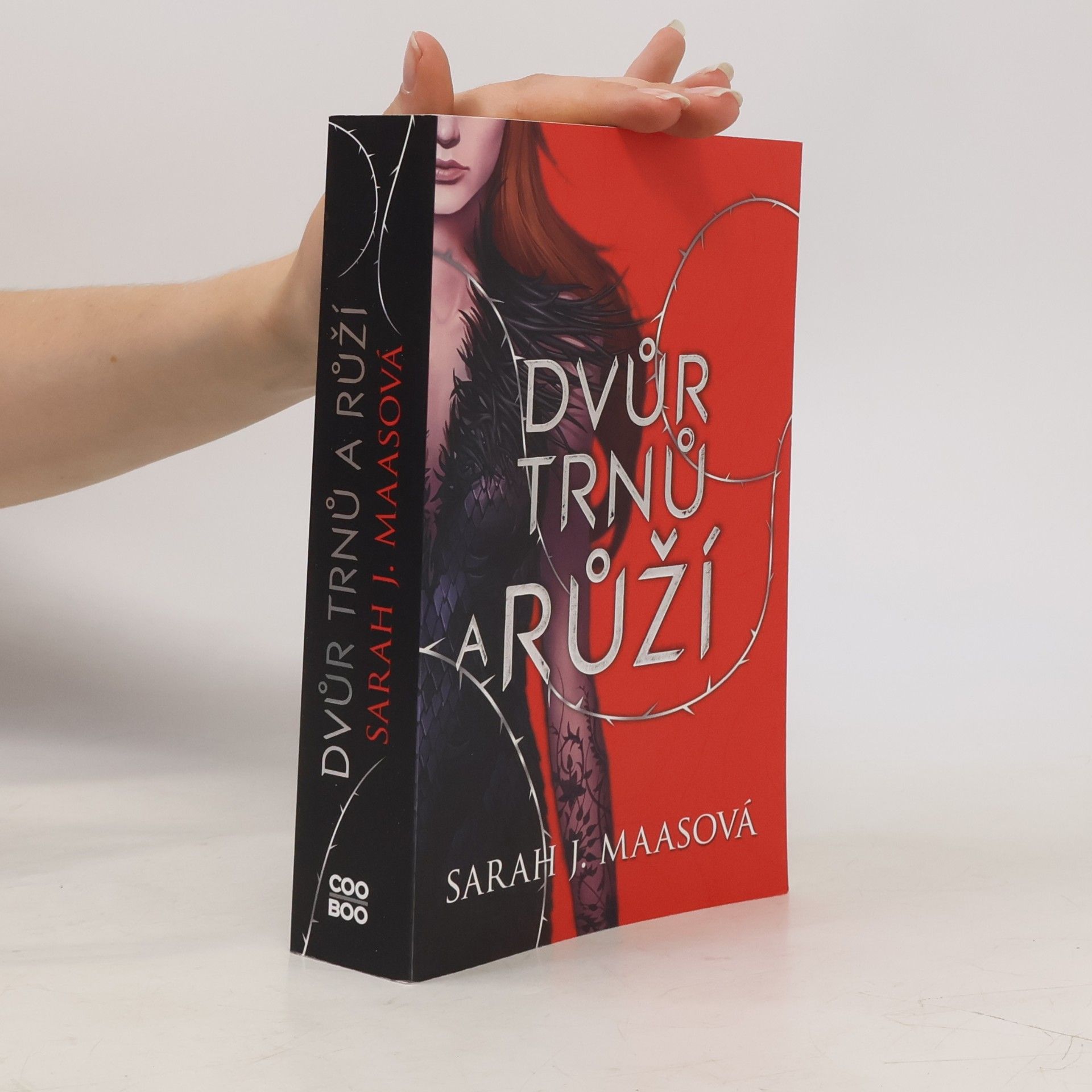 Sarah J. Maas Dvůr trnů a růží