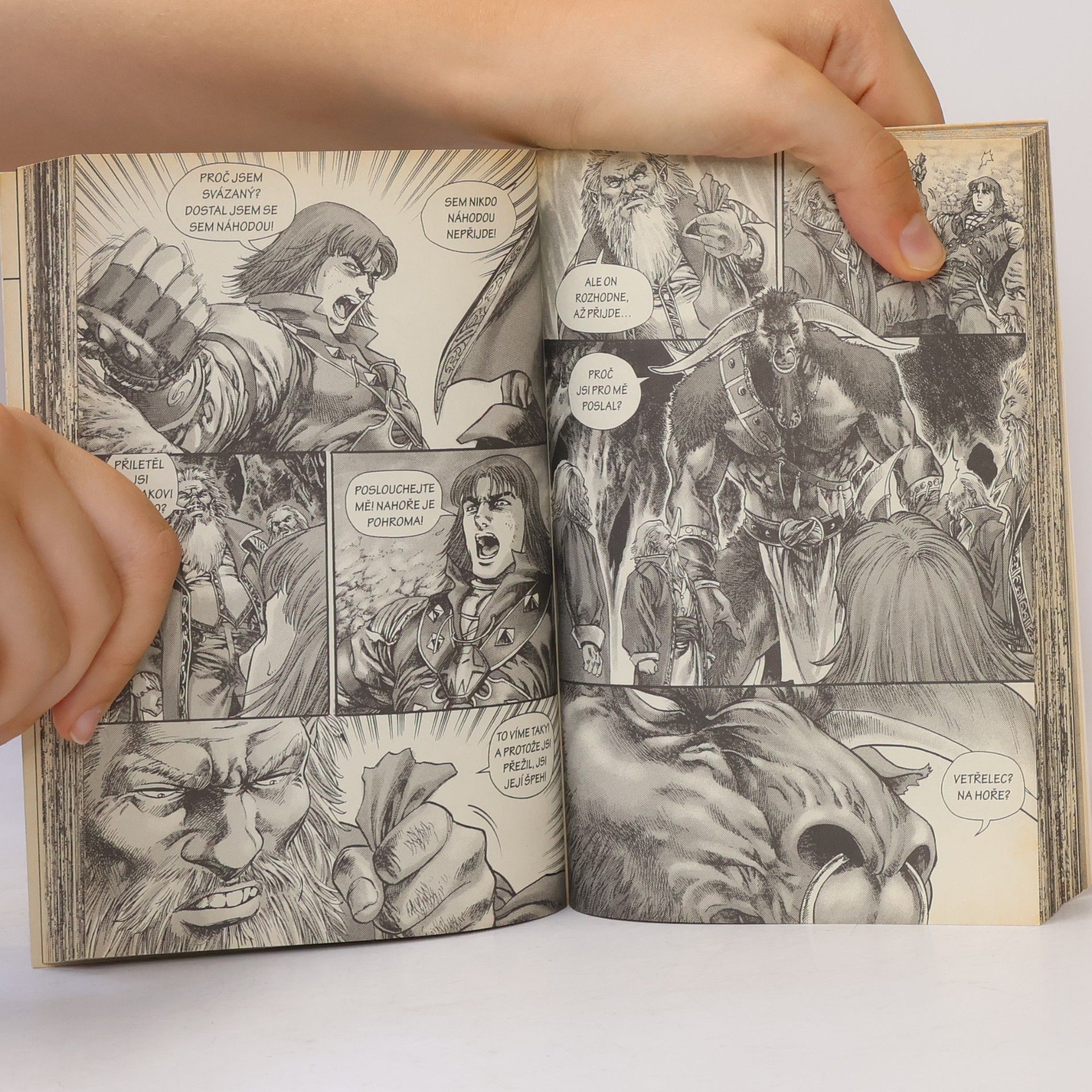 Richard A. Knaak Stíny ledu