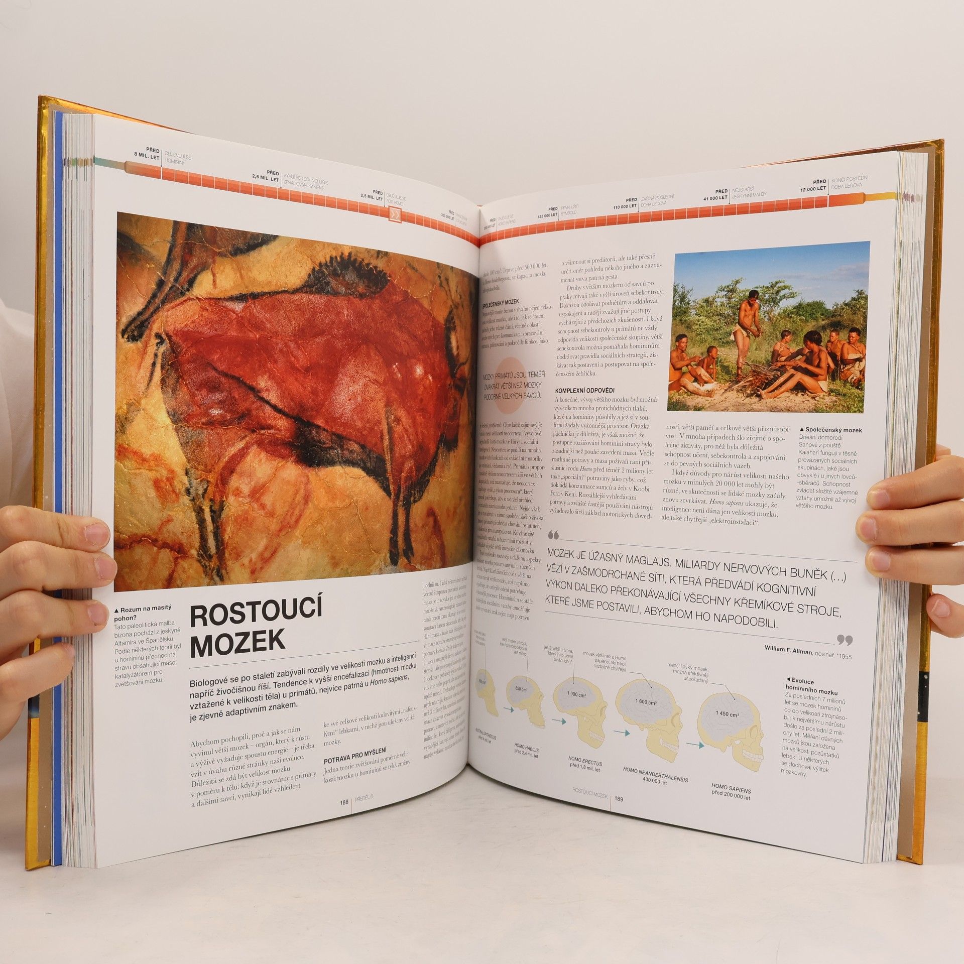 Various authors Velké dějiny. Od velkého třesku po současnost