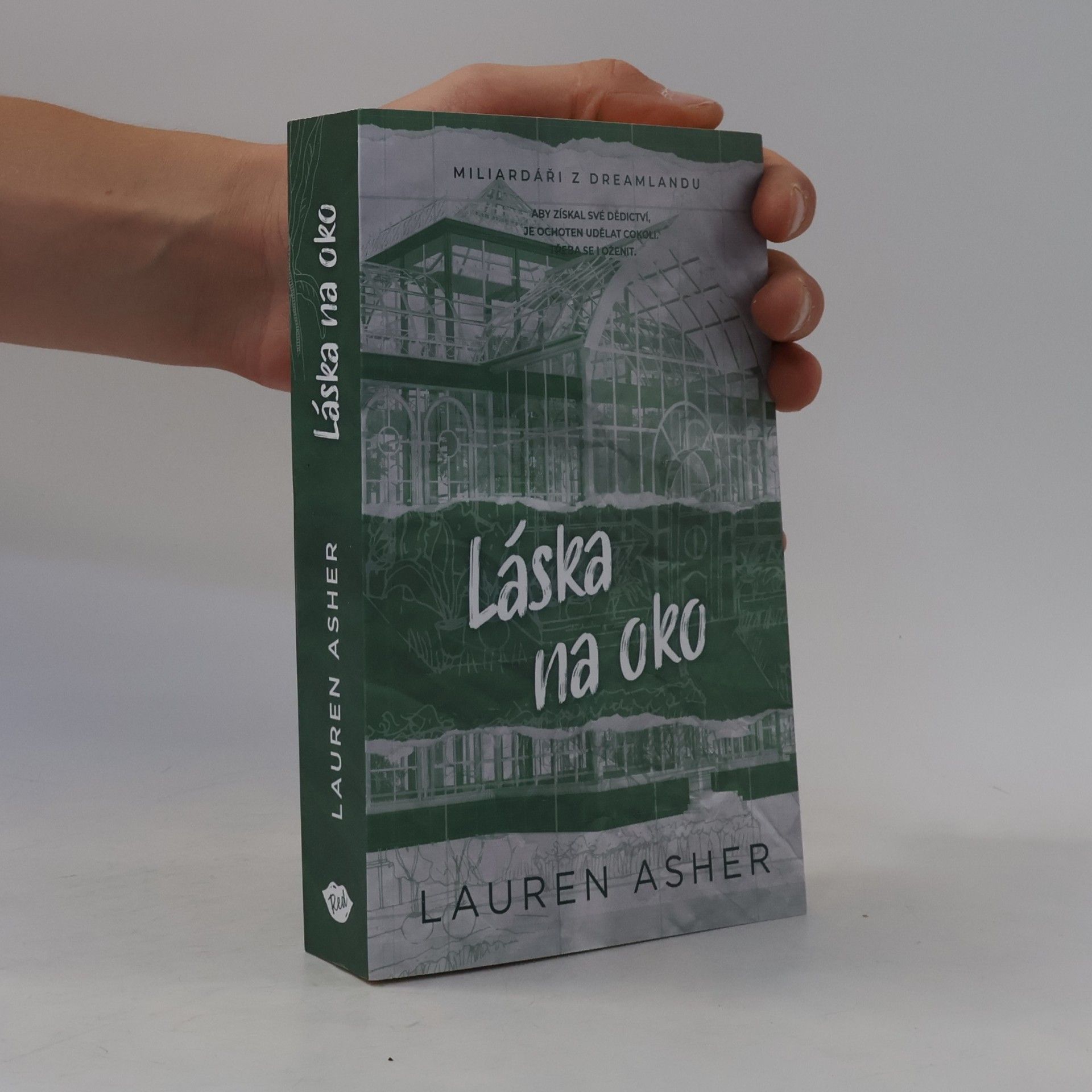 Lauren Asher Láska na oko