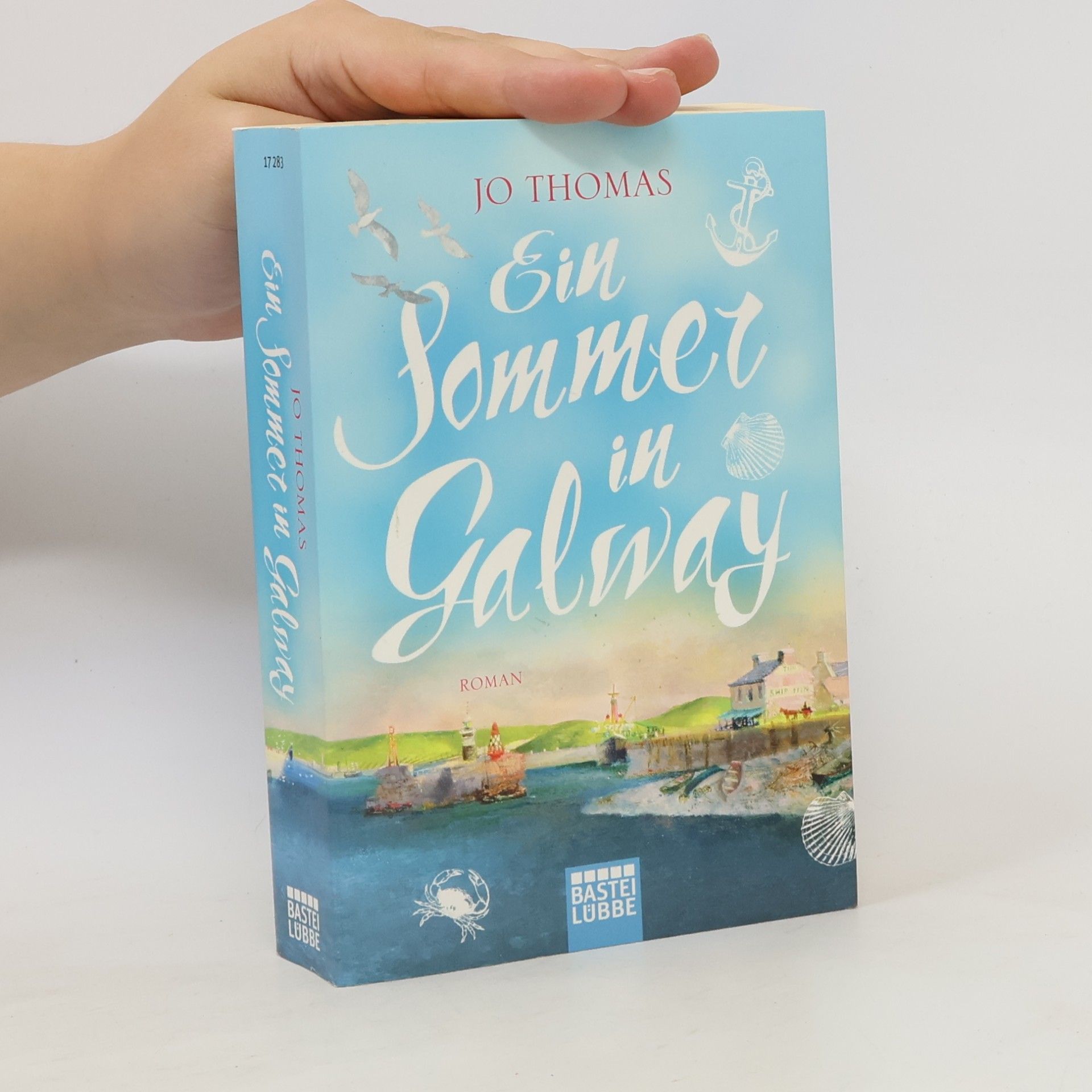 Jo Thomas Ein Sommer in Galway
