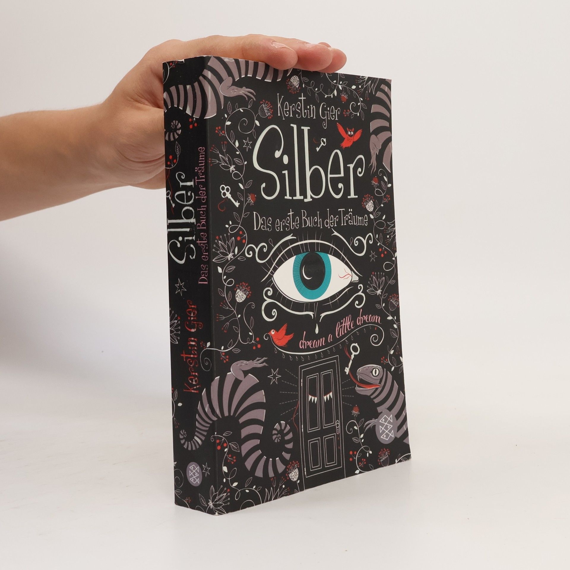 Kerstin Gier Silber. Das erste Buch der Träume