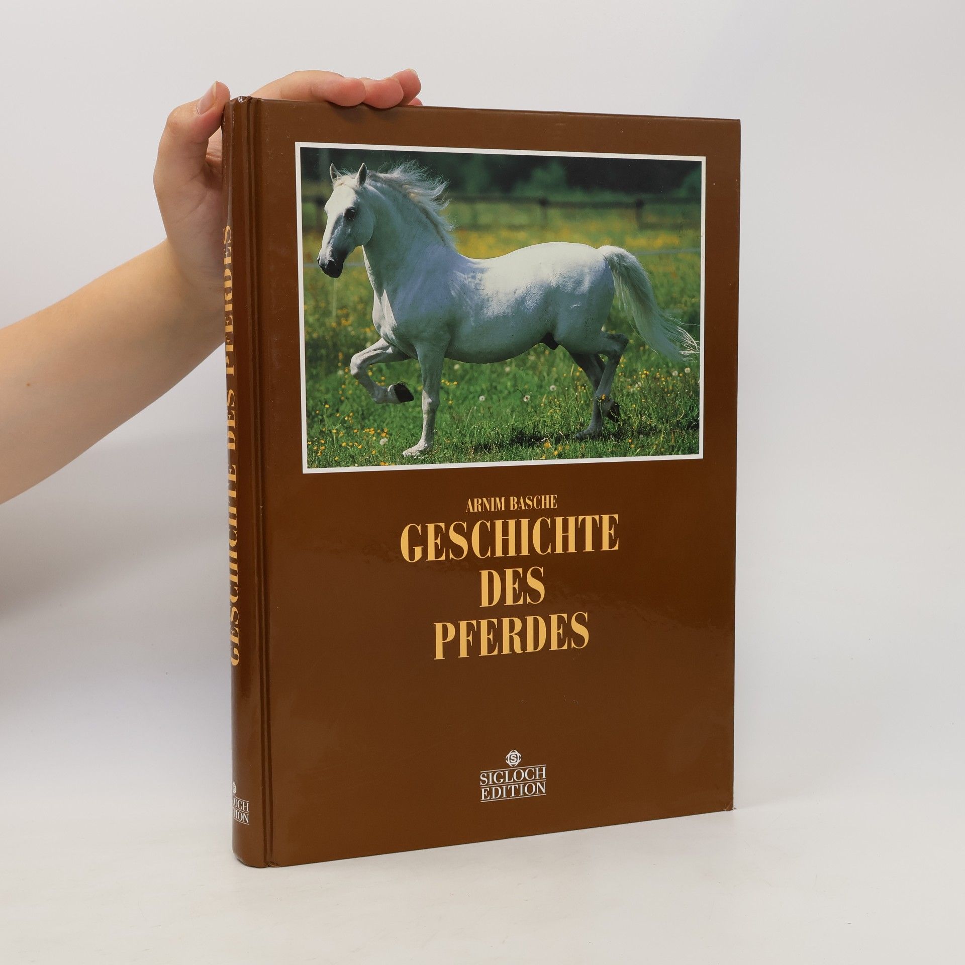 Arnim Basche Geschichte des Pferdes