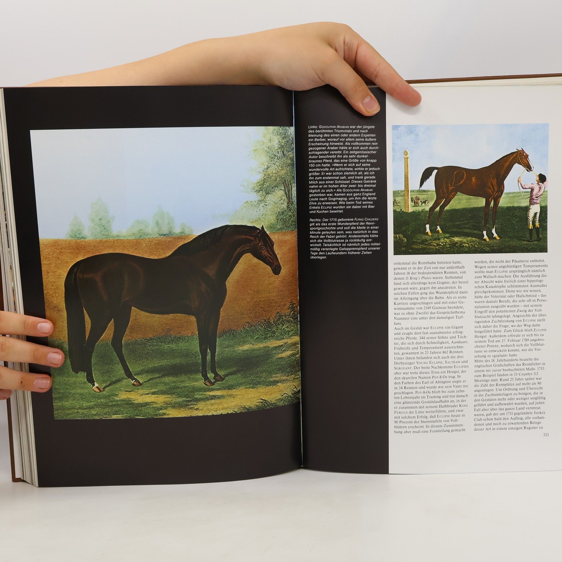 Arnim Basche Geschichte des Pferdes
