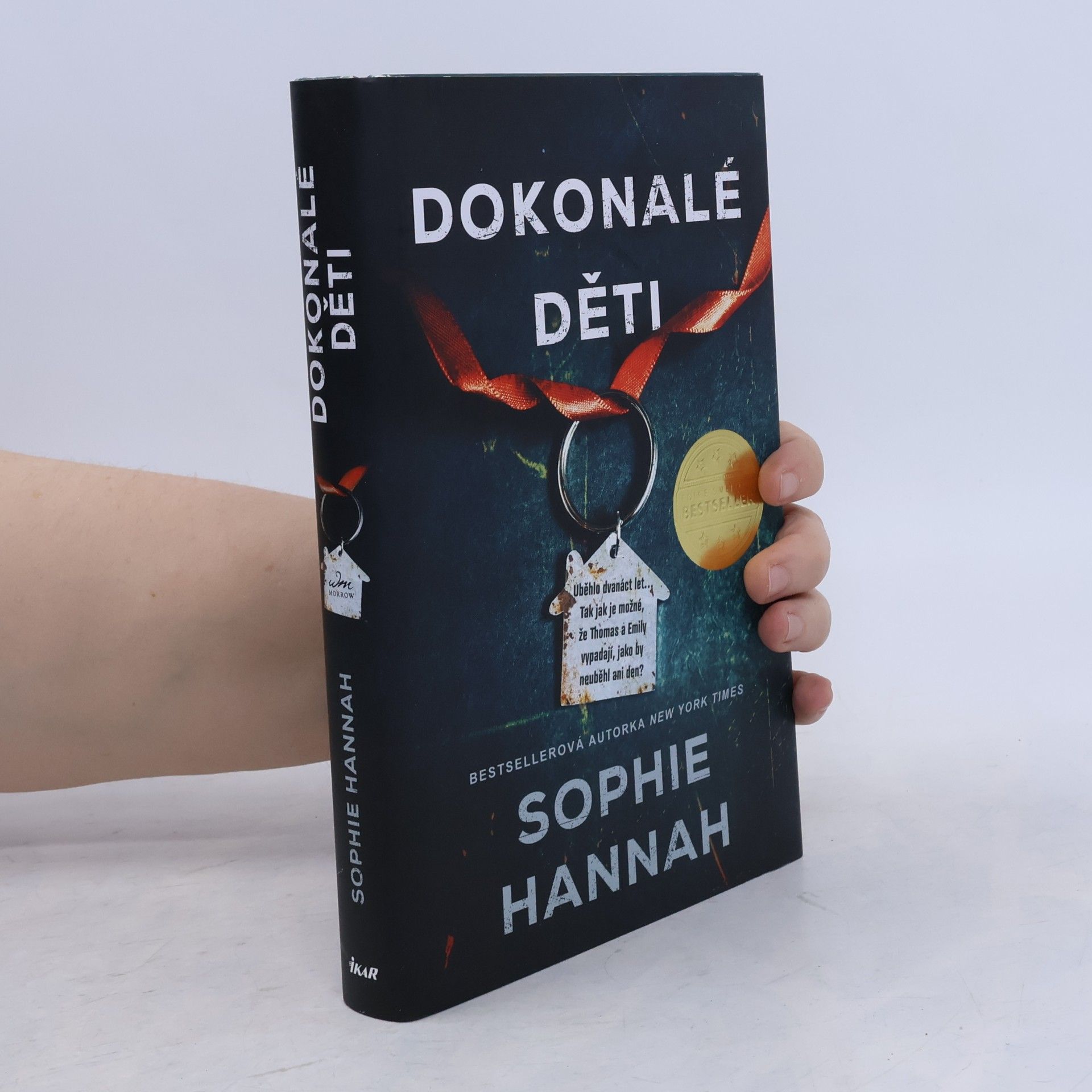 Sophie Hannah Dokonalé děti