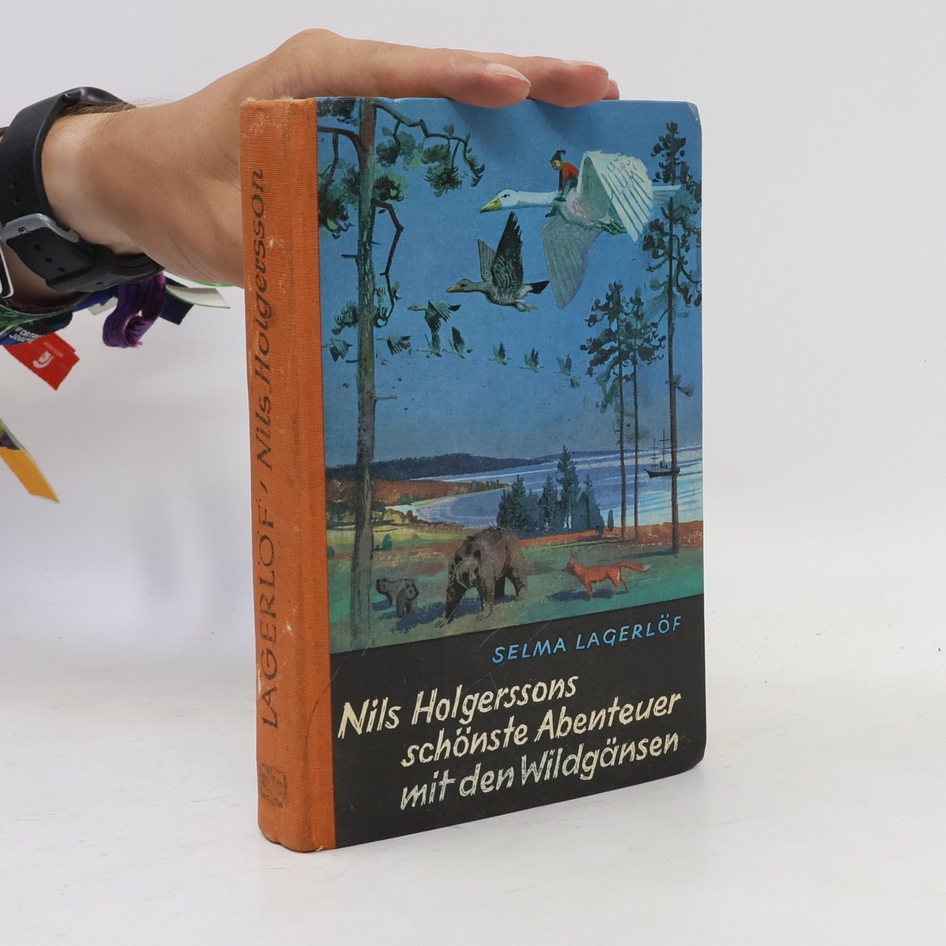 Selma Lagerlöf Nils Holgerssons schönste Abenteuer mit den Wildgänsen