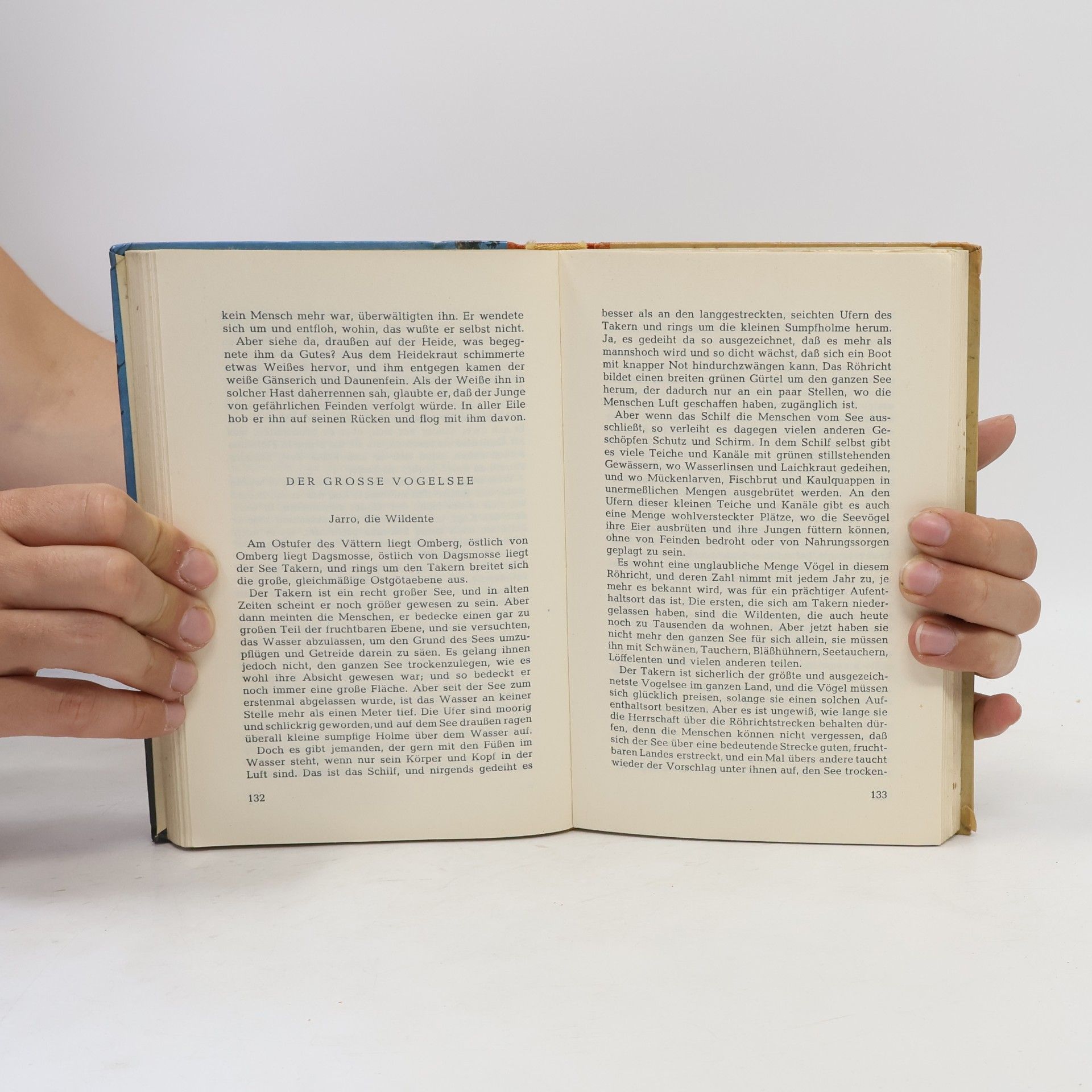 Selma Lagerlöf Nils Holgerssons schönste Abenteuer mit den Wildgänsen