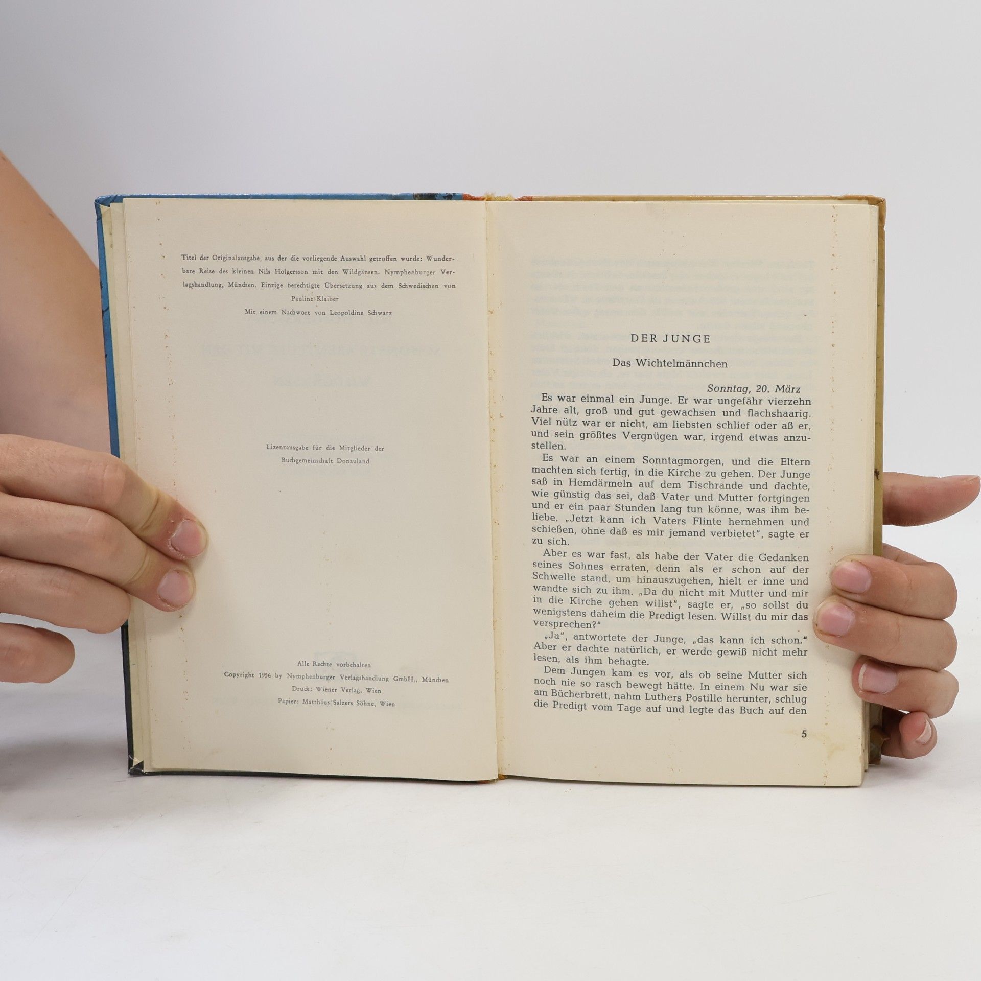Selma Lagerlöf Nils Holgerssons schönste Abenteuer mit den Wildgänsen