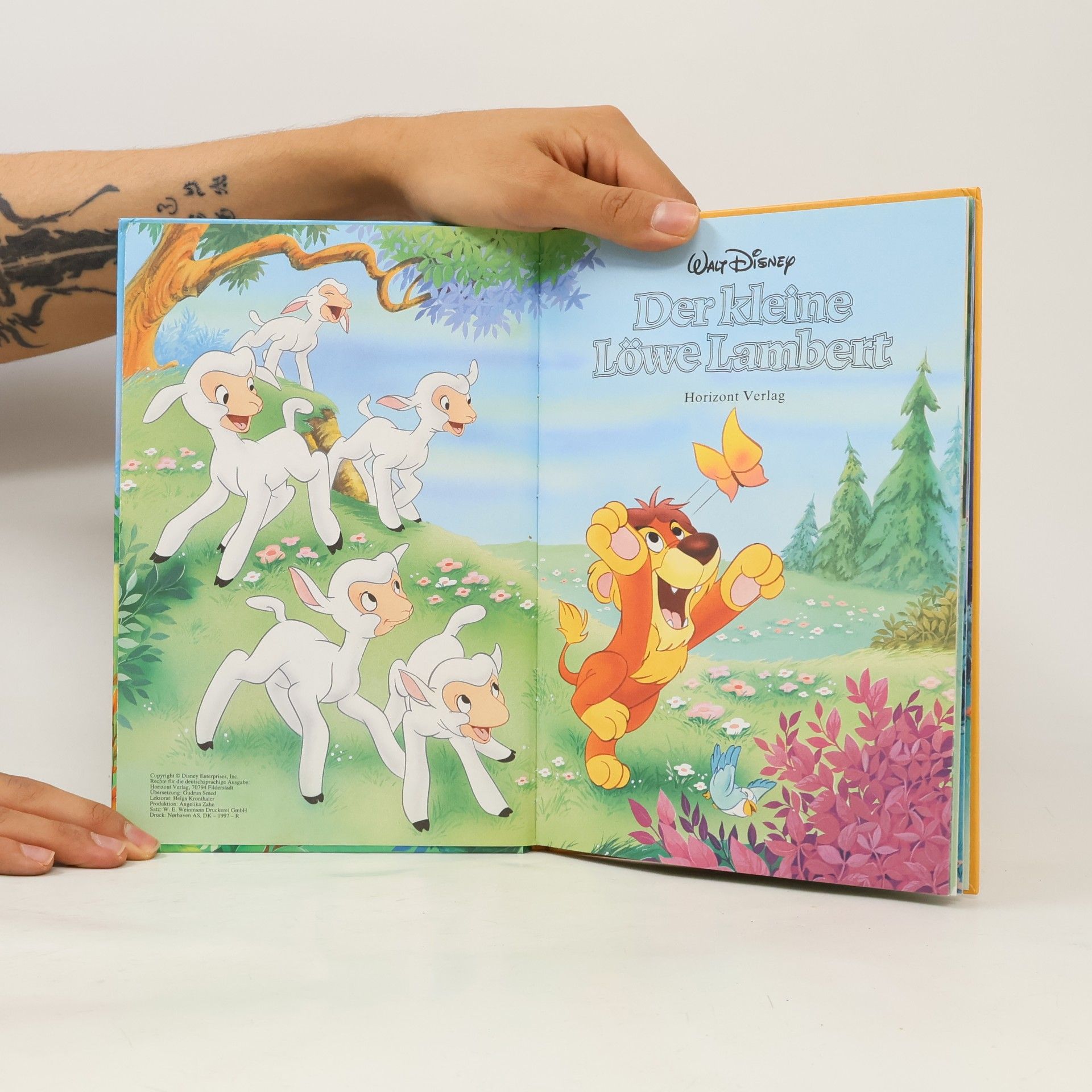 Autorenkollektiv Der kleine Löwe Lambert