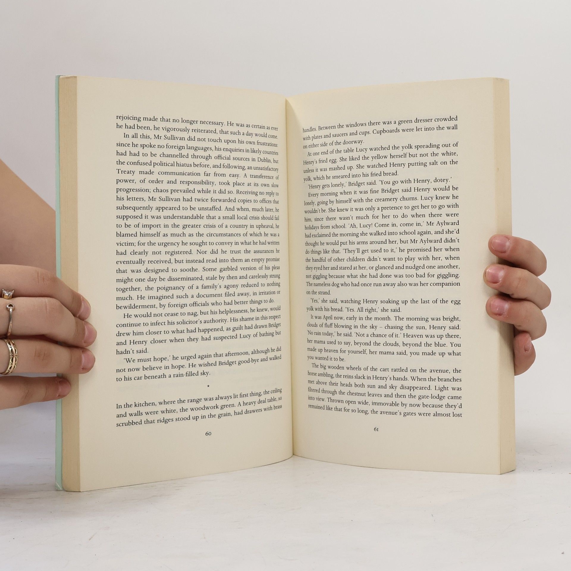 William Trevor The Story of Lucy Gault