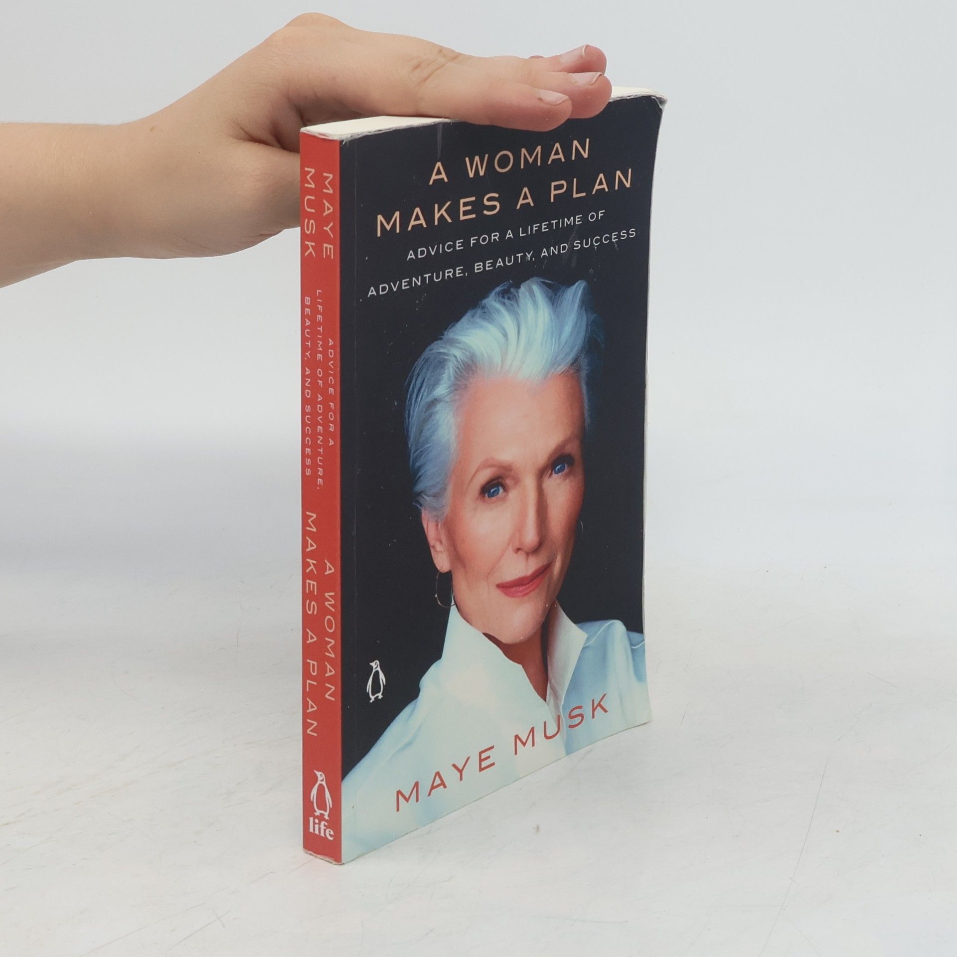 Maye Musk A Woman Makes a Plan