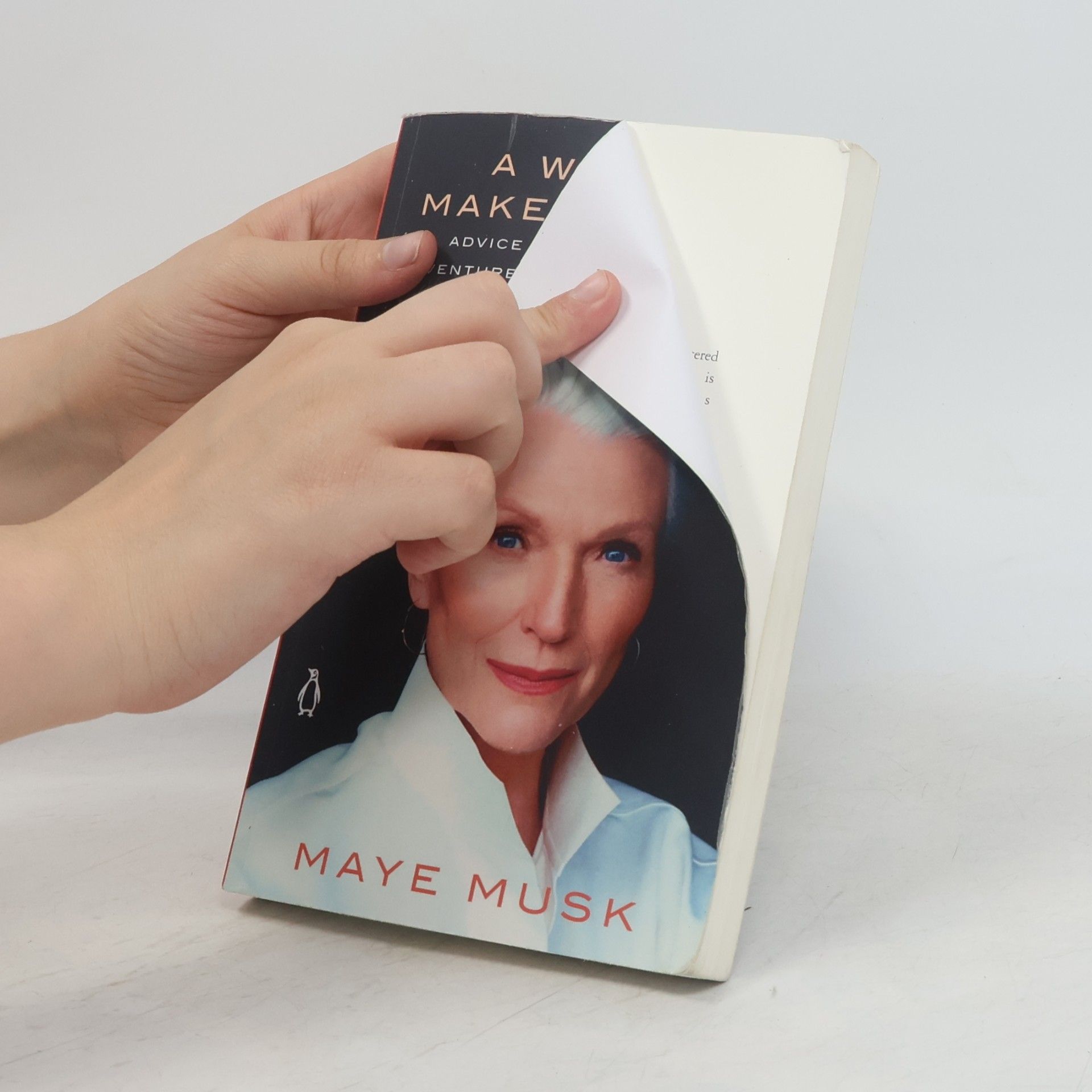 Maye Musk A Woman Makes a Plan
