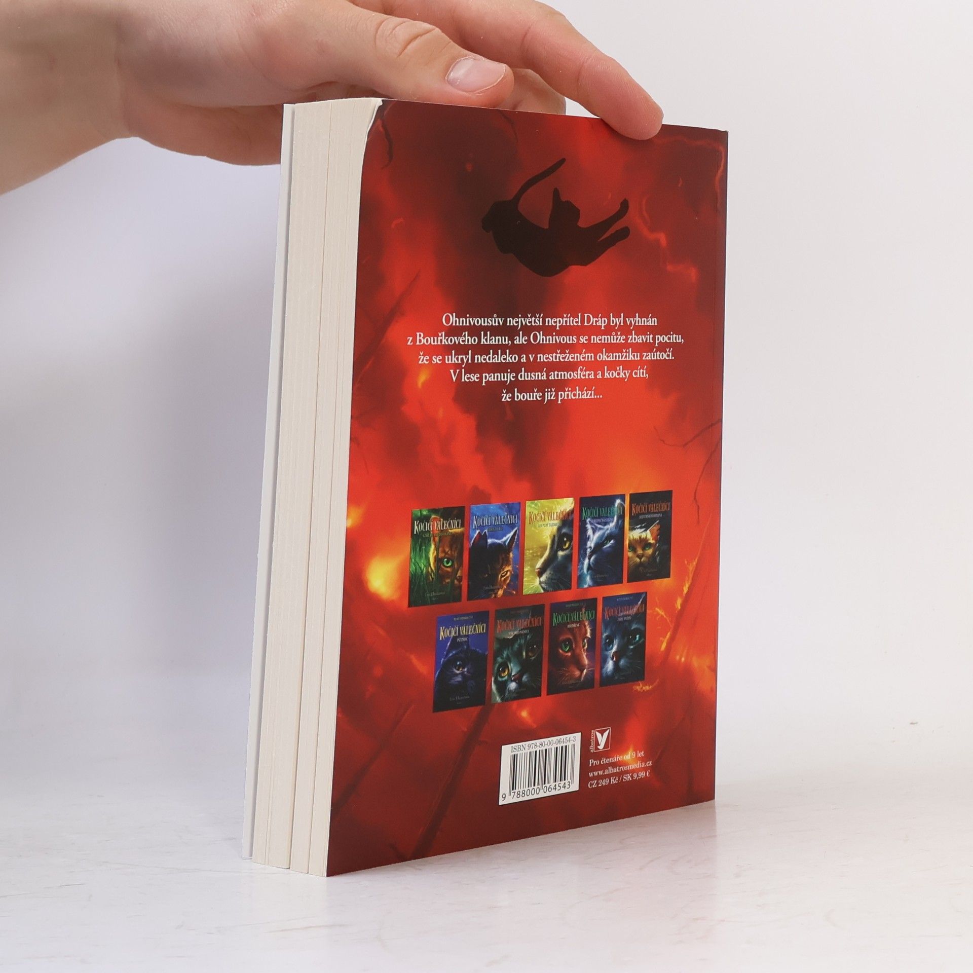 Erin Hunter Kočičí válečníci. Bouře přichází