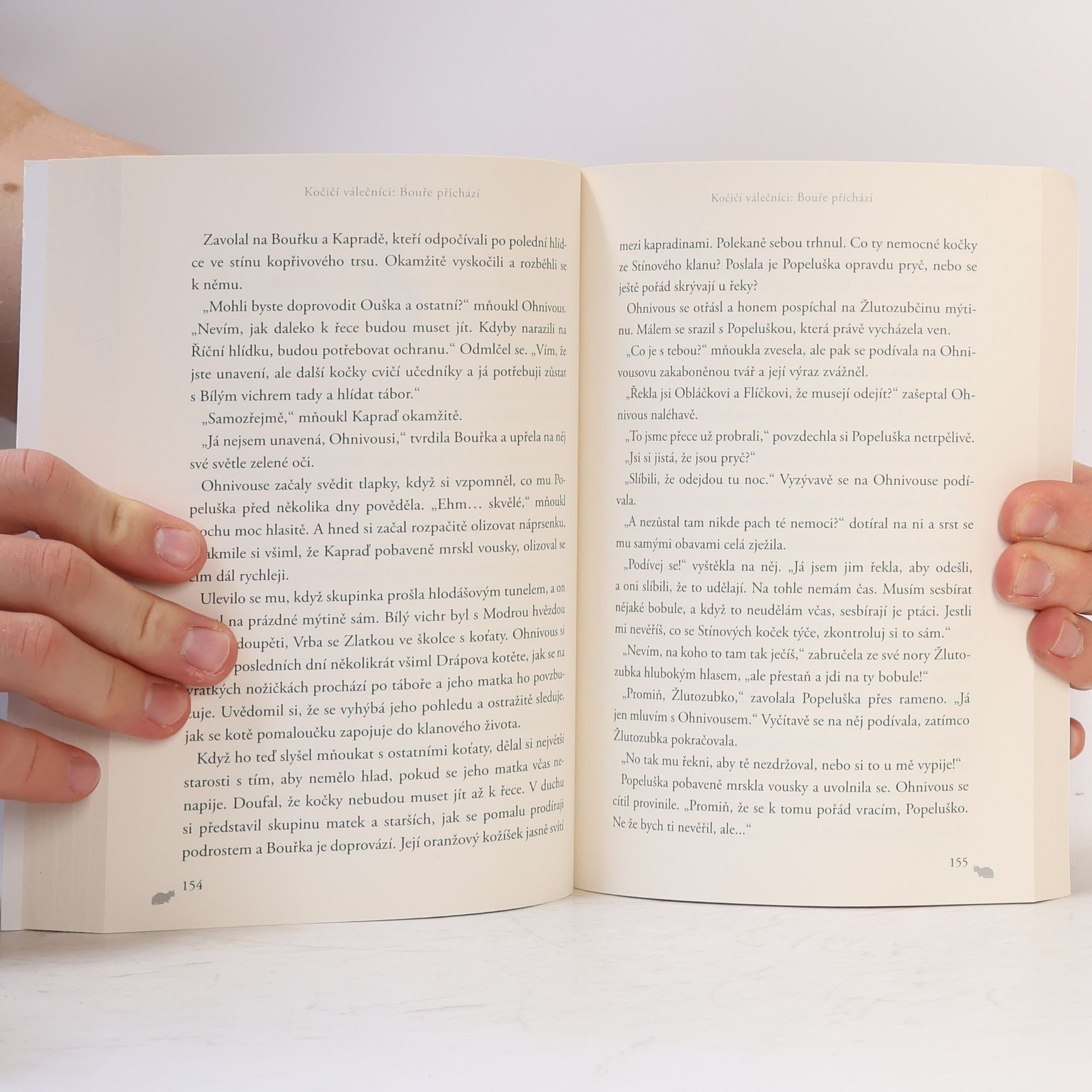 Erin Hunter Kočičí válečníci. Bouře přichází