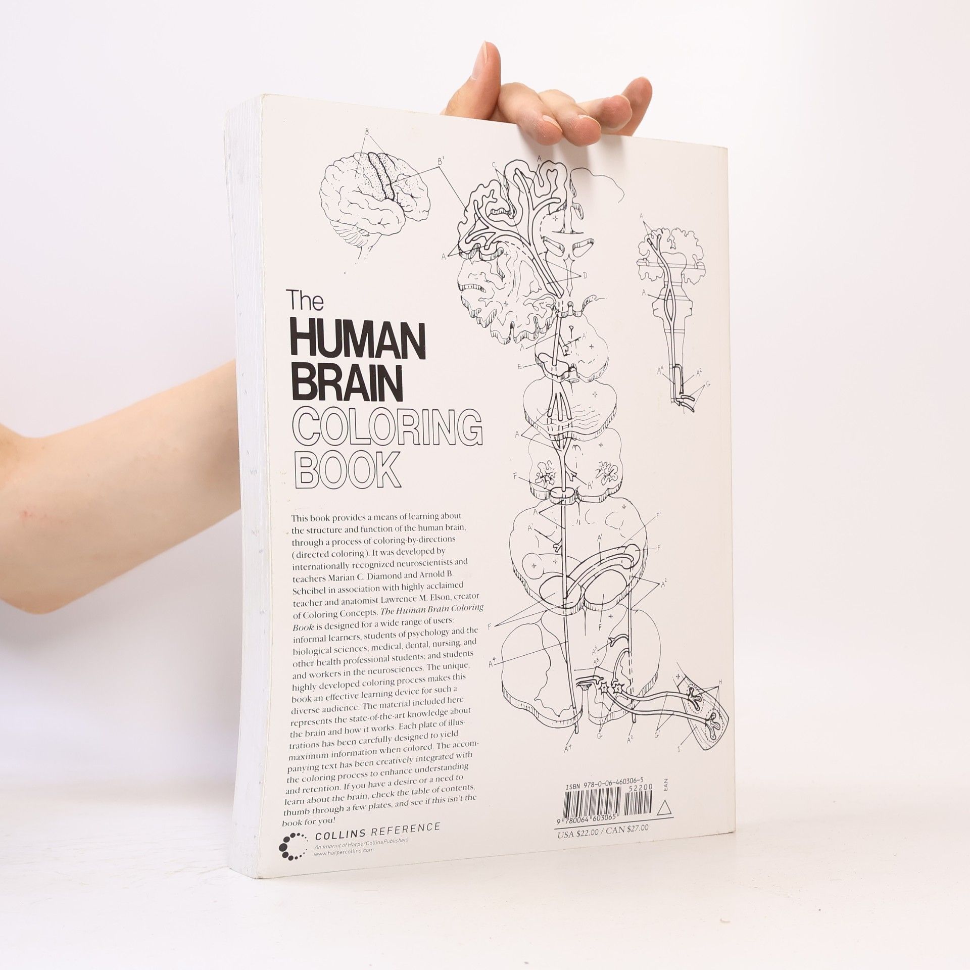 Marian Diamond The Human Brain Coloring Book