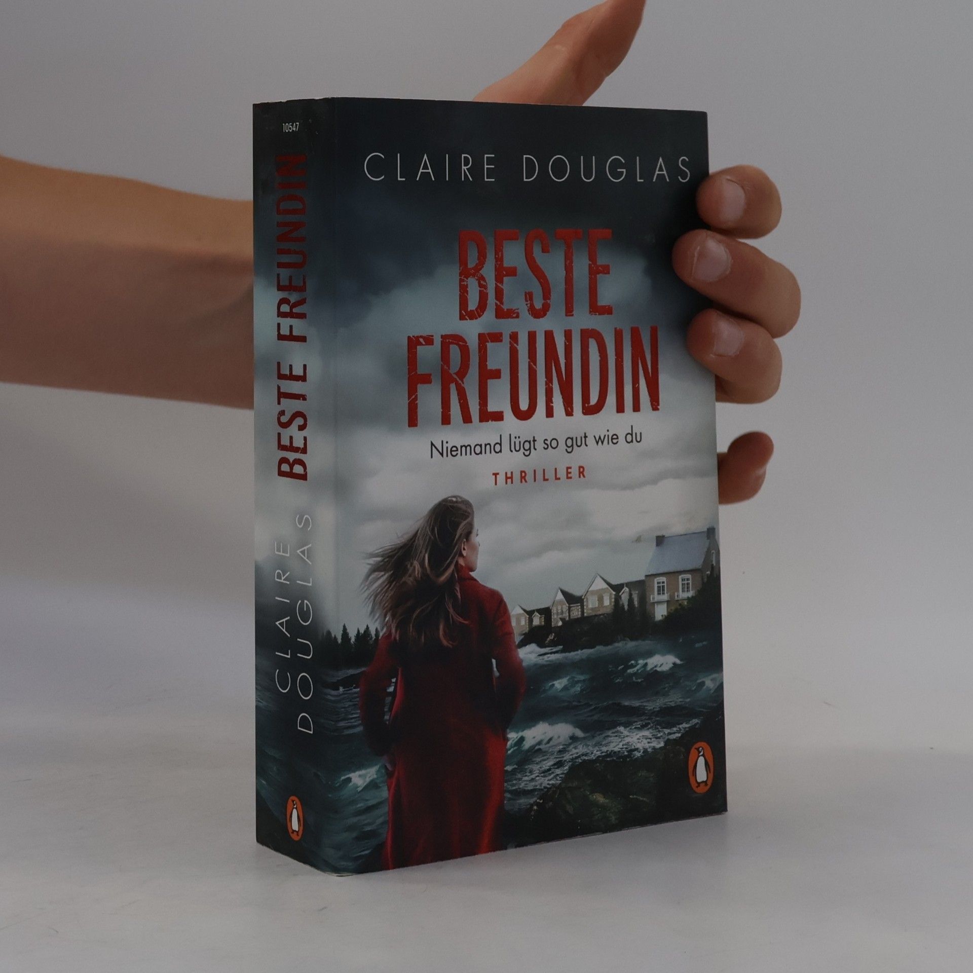 Claire Douglas Beste Freundin - niemand lügt so gut wie du