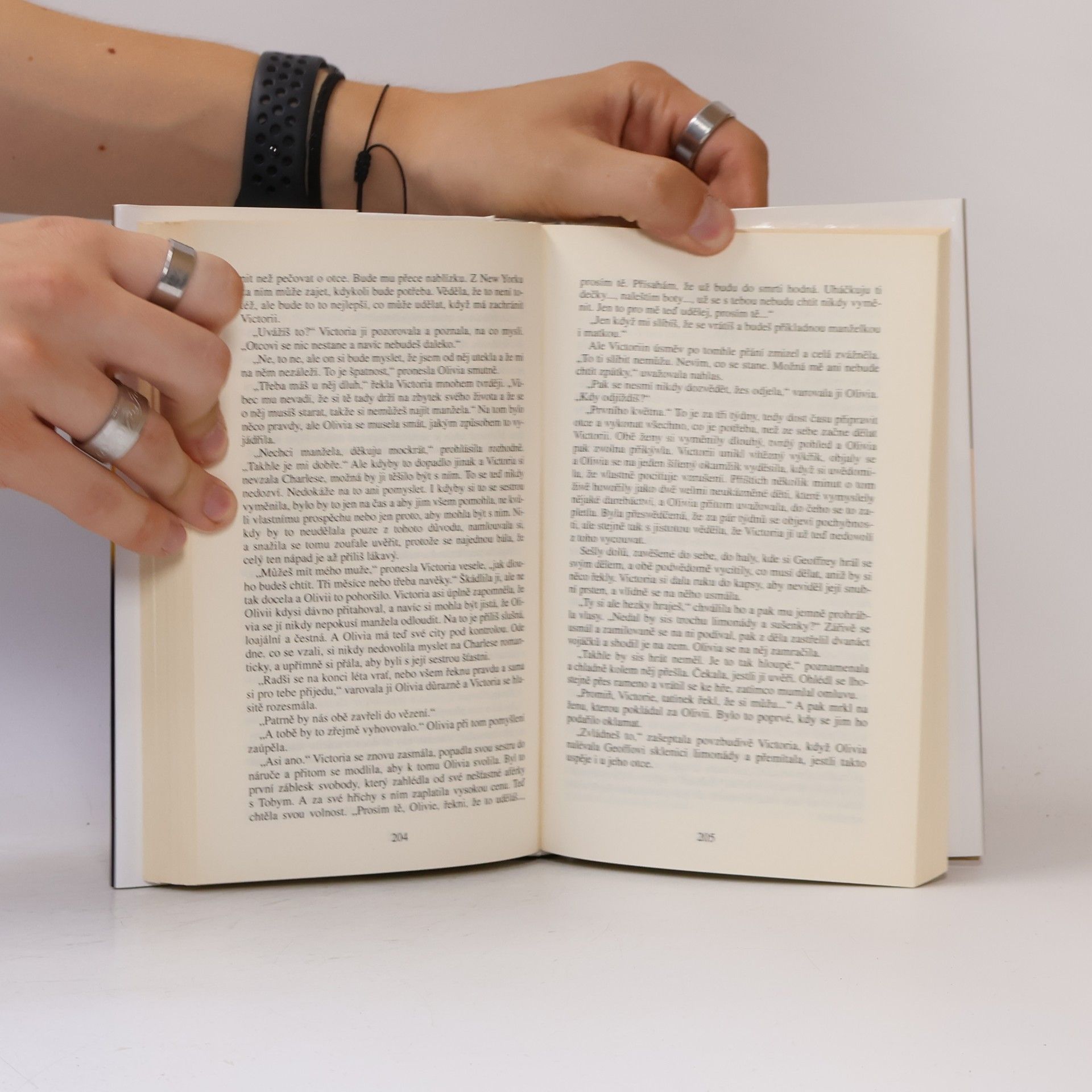 Danielle Steel Zrcadlový obraz