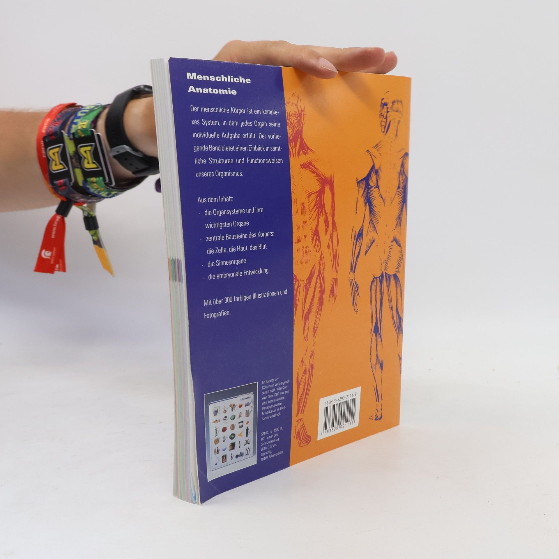 Francisco Asensio Cerver Menschliche Anatomie