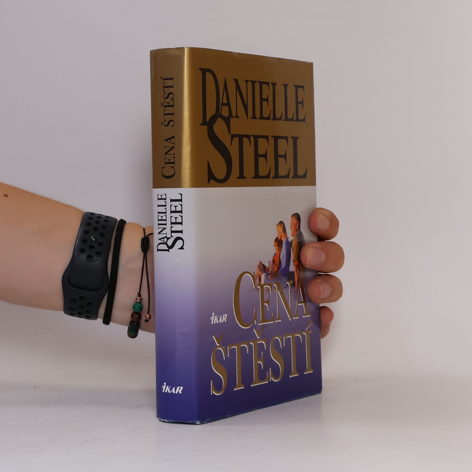 Danielle Steel Cena štěstí