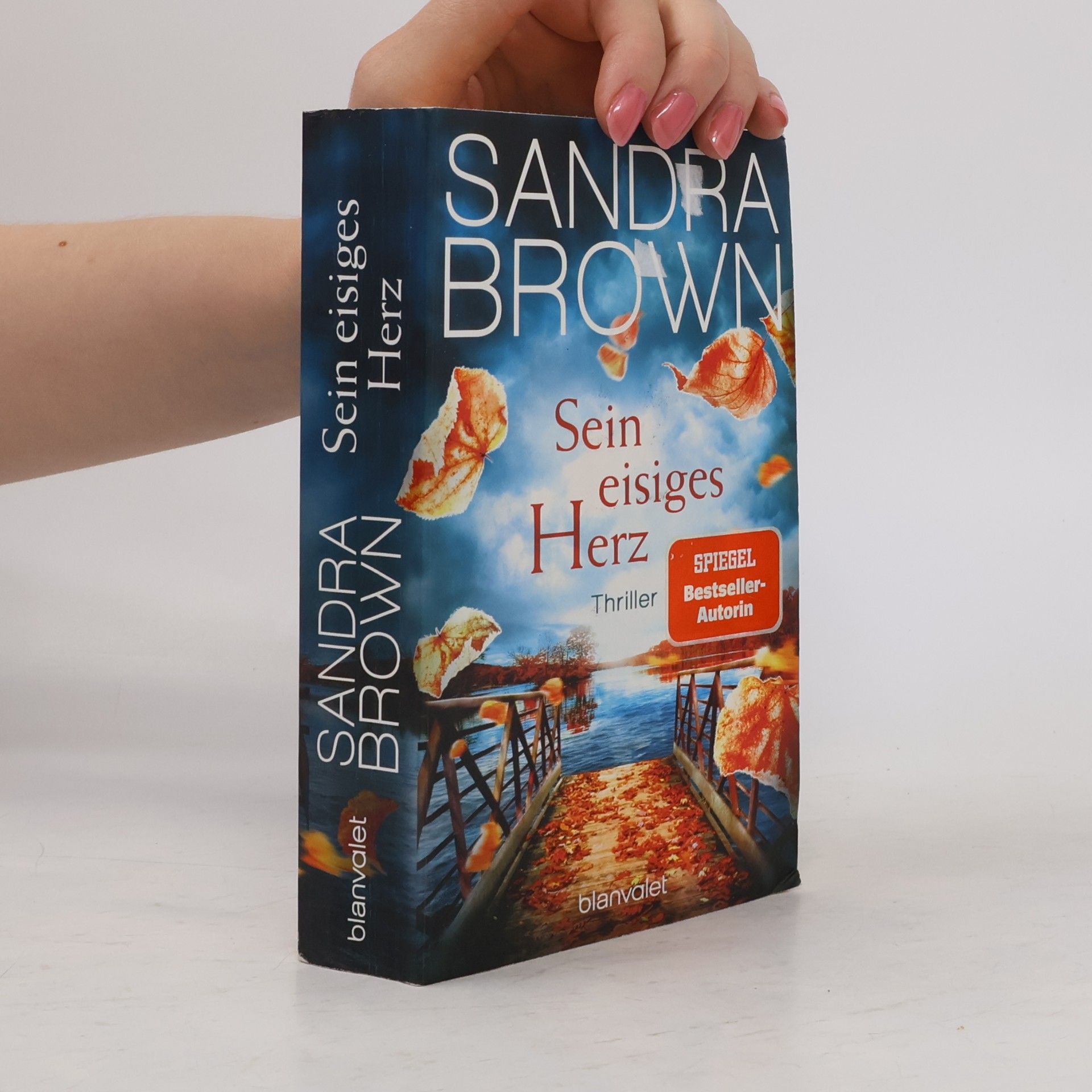 Sandra Brown Sein eisiges Herz