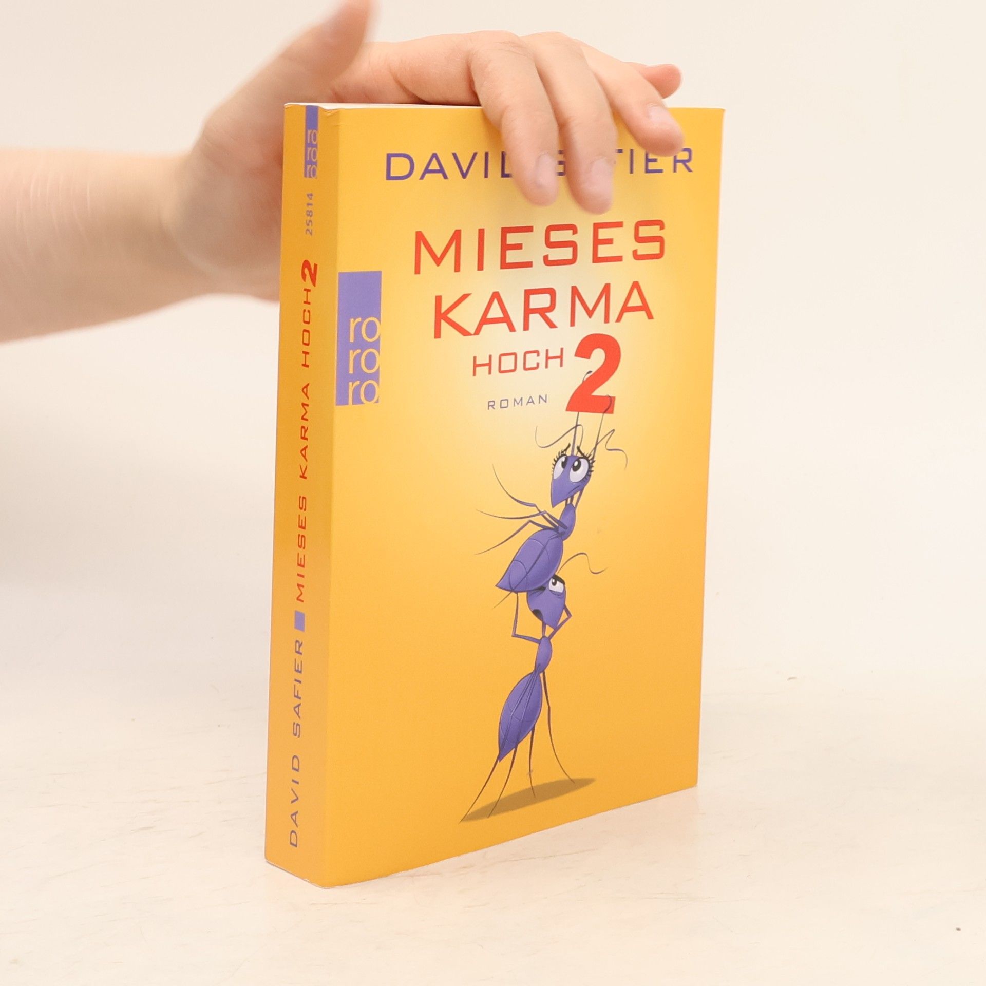 David Safier Mieses Karma hoch 2