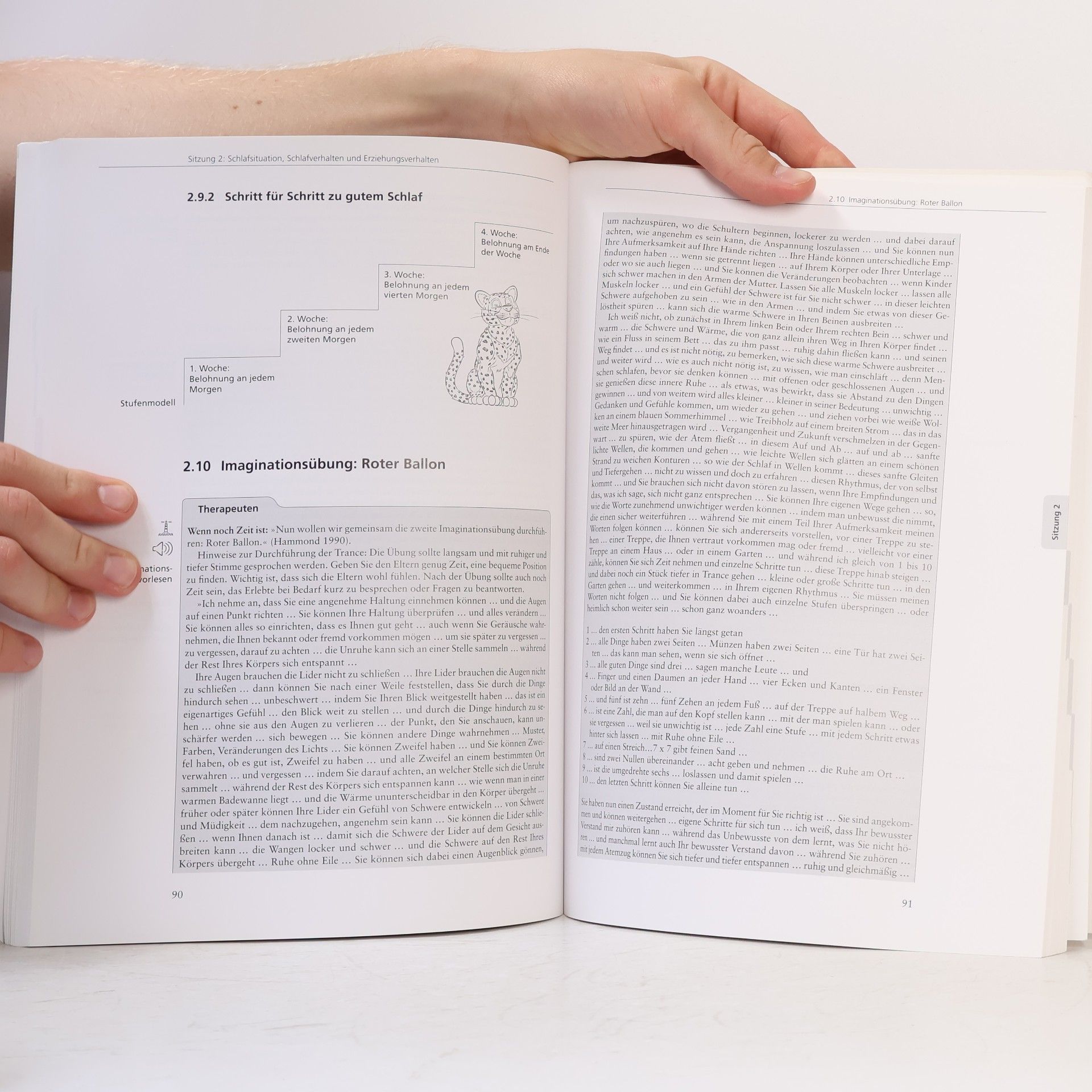 Angelika A. Schlarb Mini-KiSS Therapeutenmanual