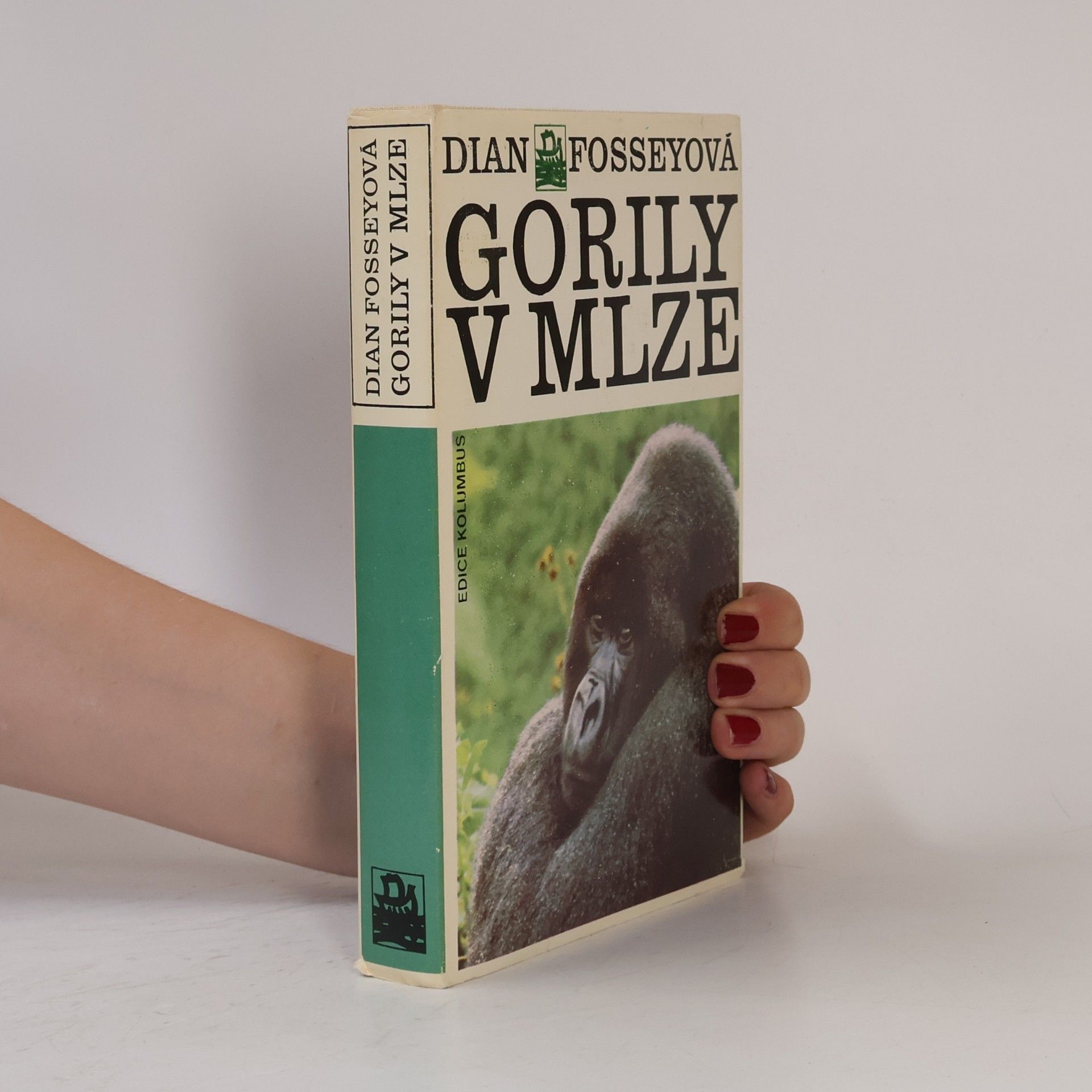 Dian Fossey Gorily v mlze